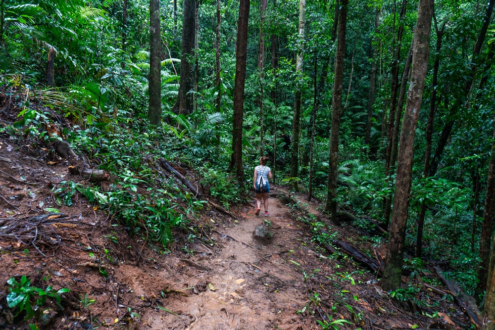 man in blue shirt and black shorts walking on dirt road in the woods during daytime