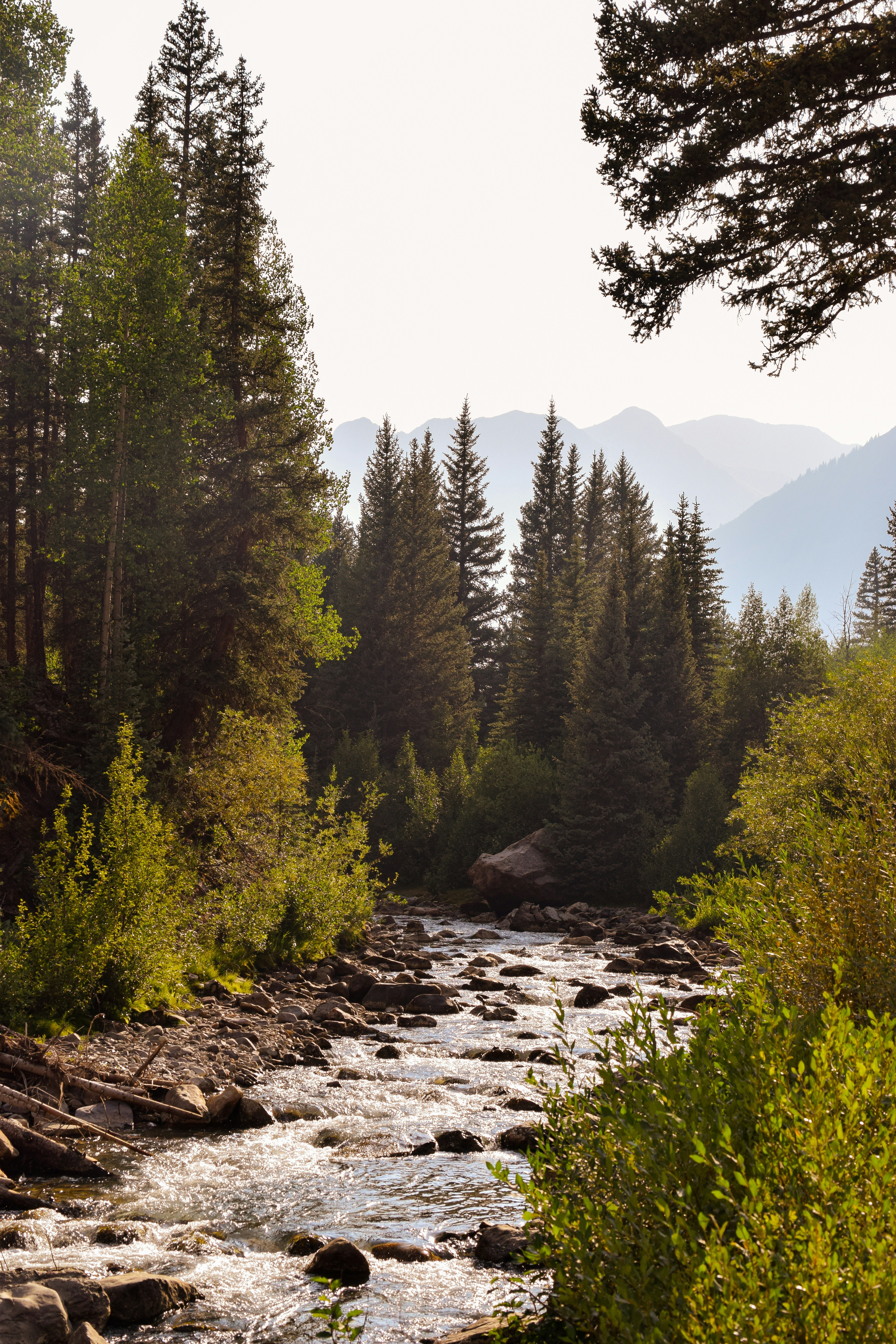 Photo by bwatsonphotos