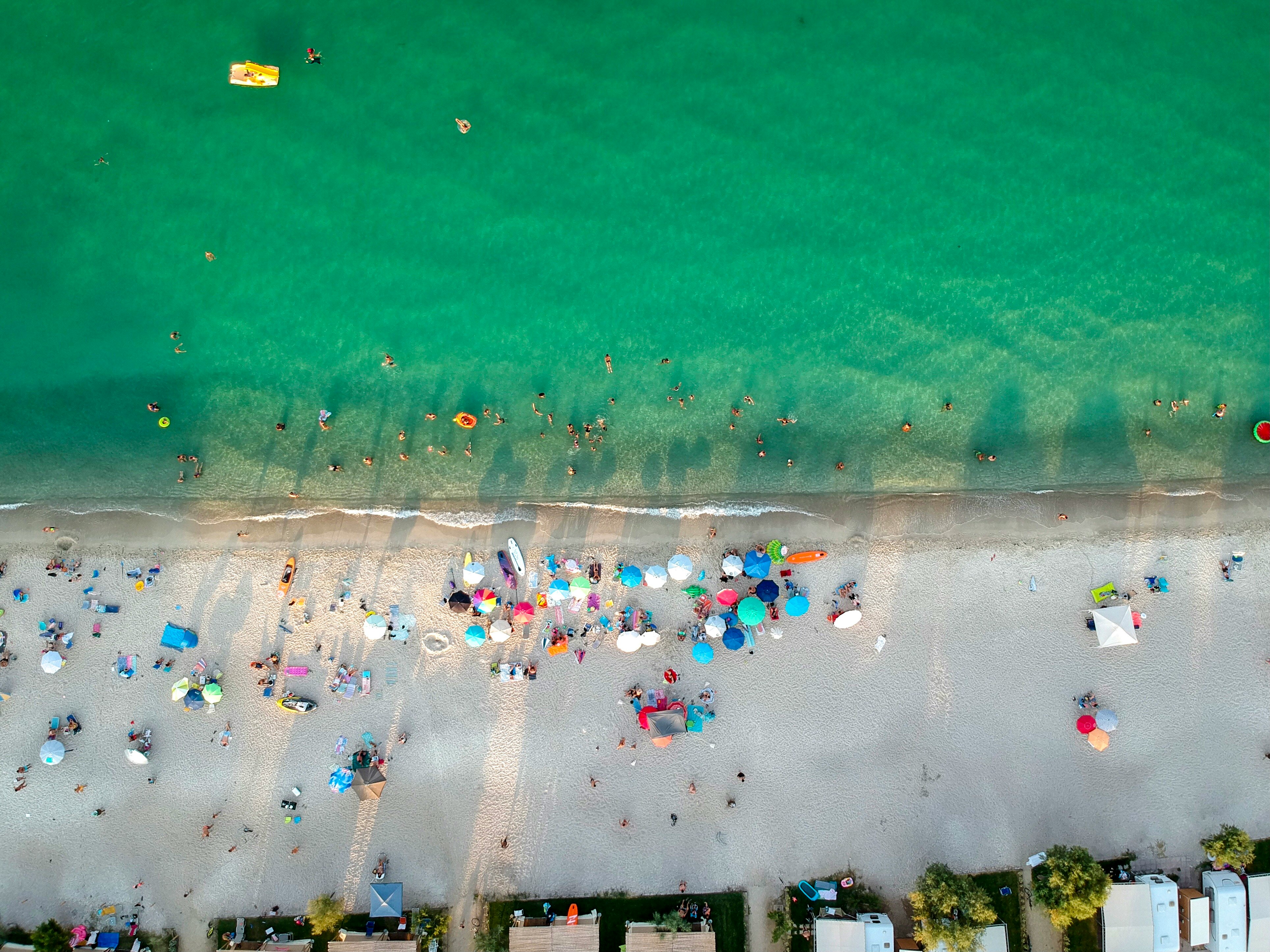 people on beach during daytime