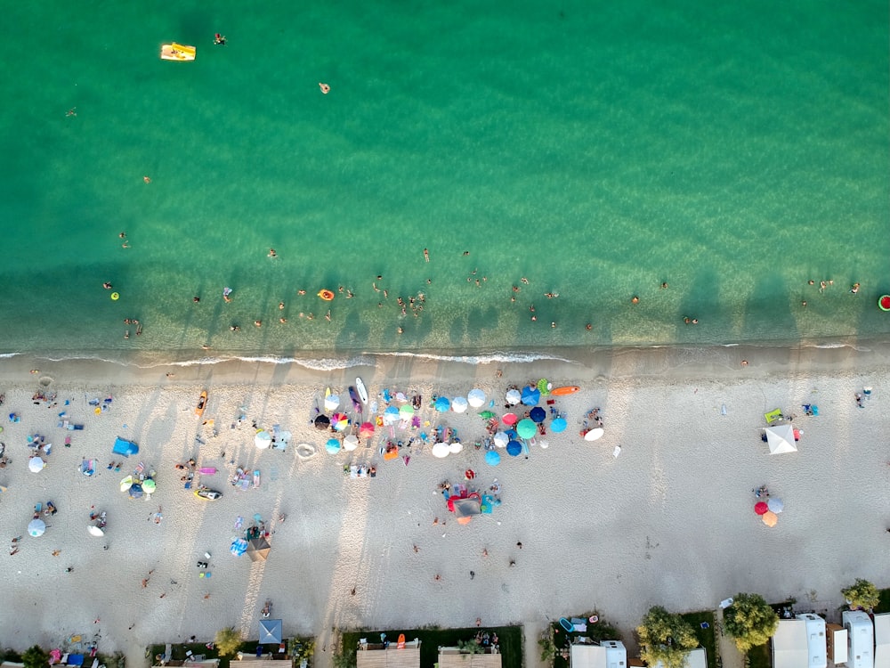 people on beach during daytime