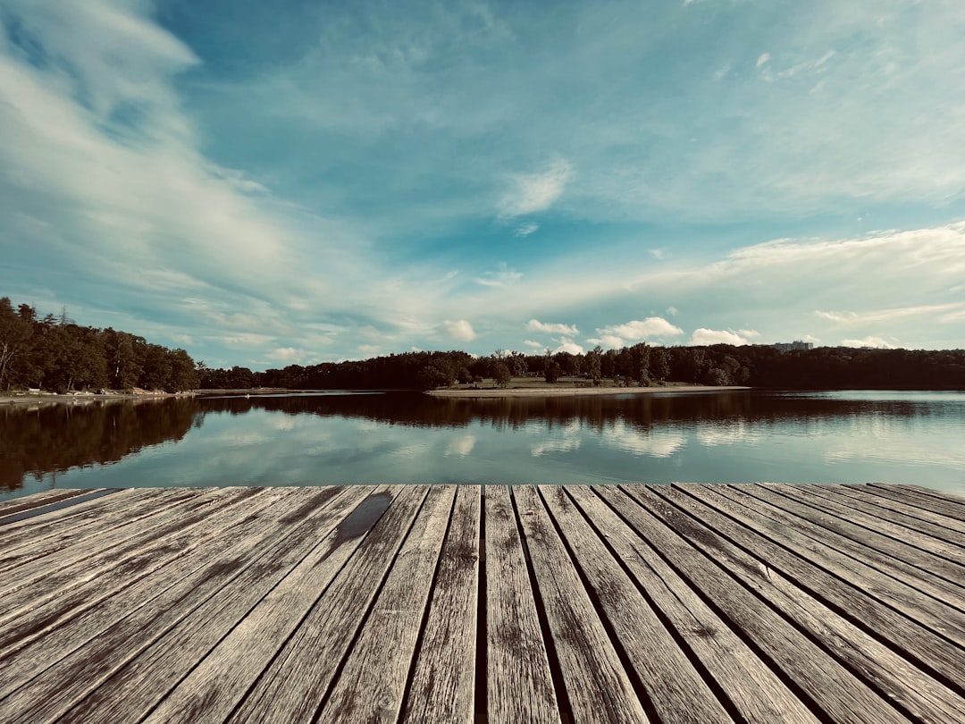 brown wooden dock on lake under blue sky during daytime
