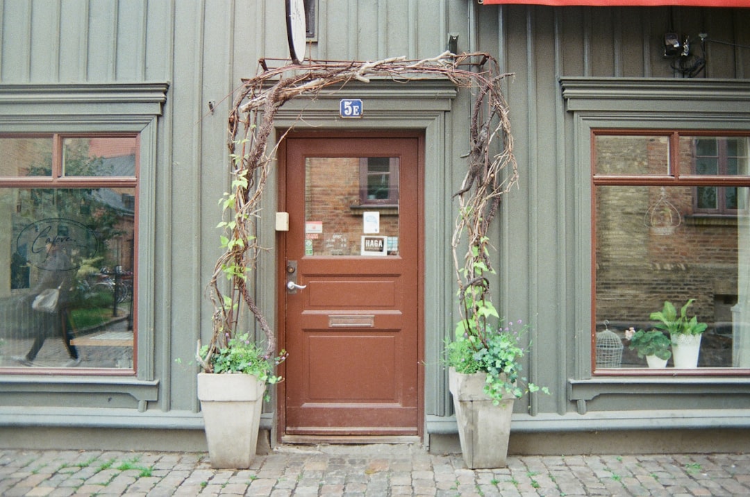 green plant on white pot beside red wooden door