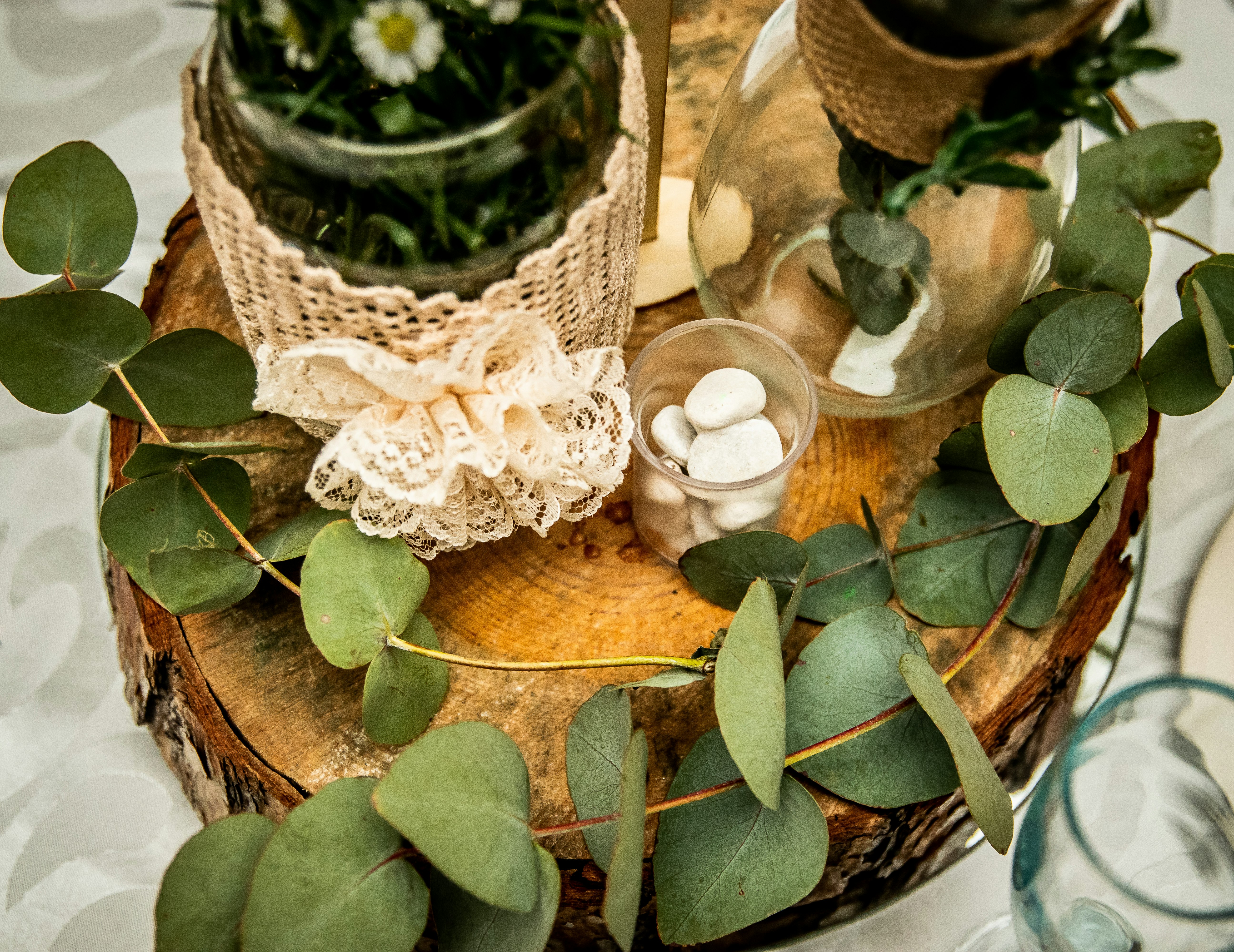 green plant on brown woven basket