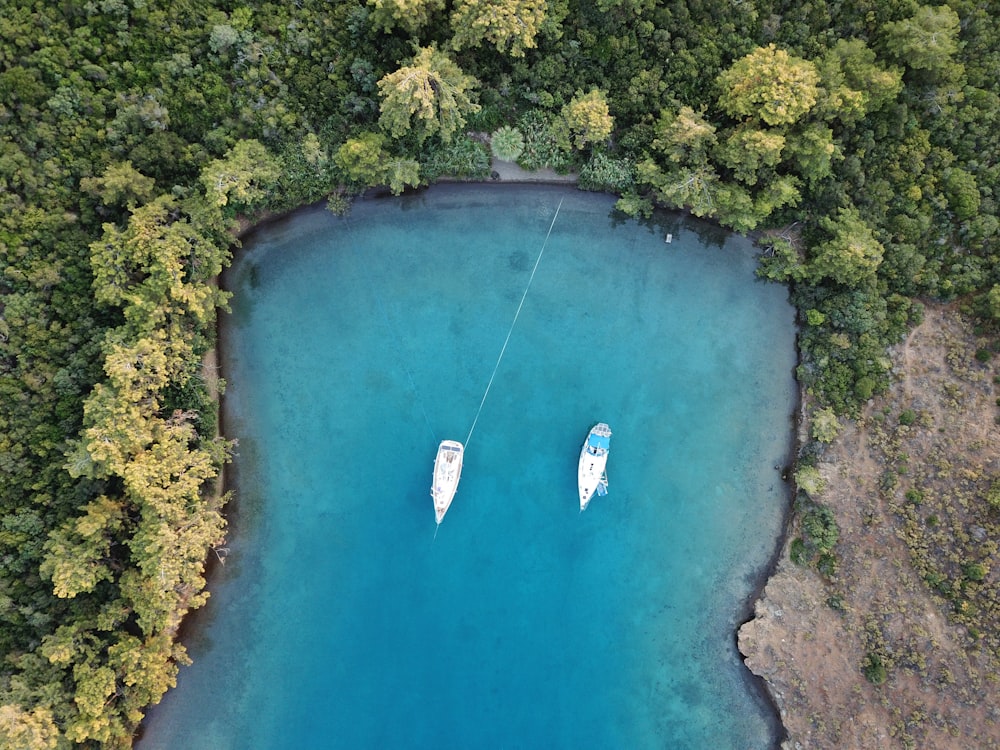 aerial view of body of water surrounded by trees during daytime