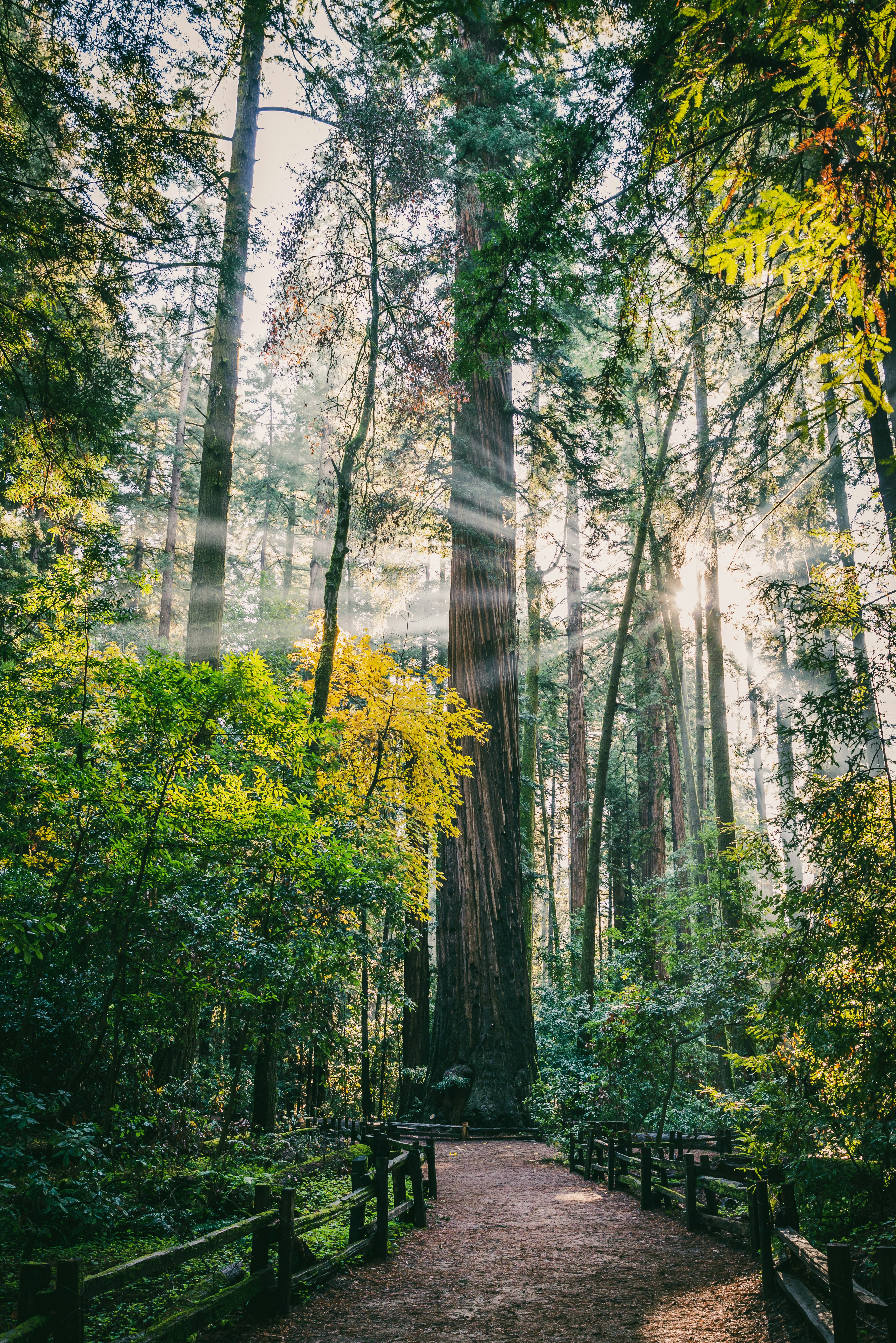 Deepening Your Relationship With God Through Prayer