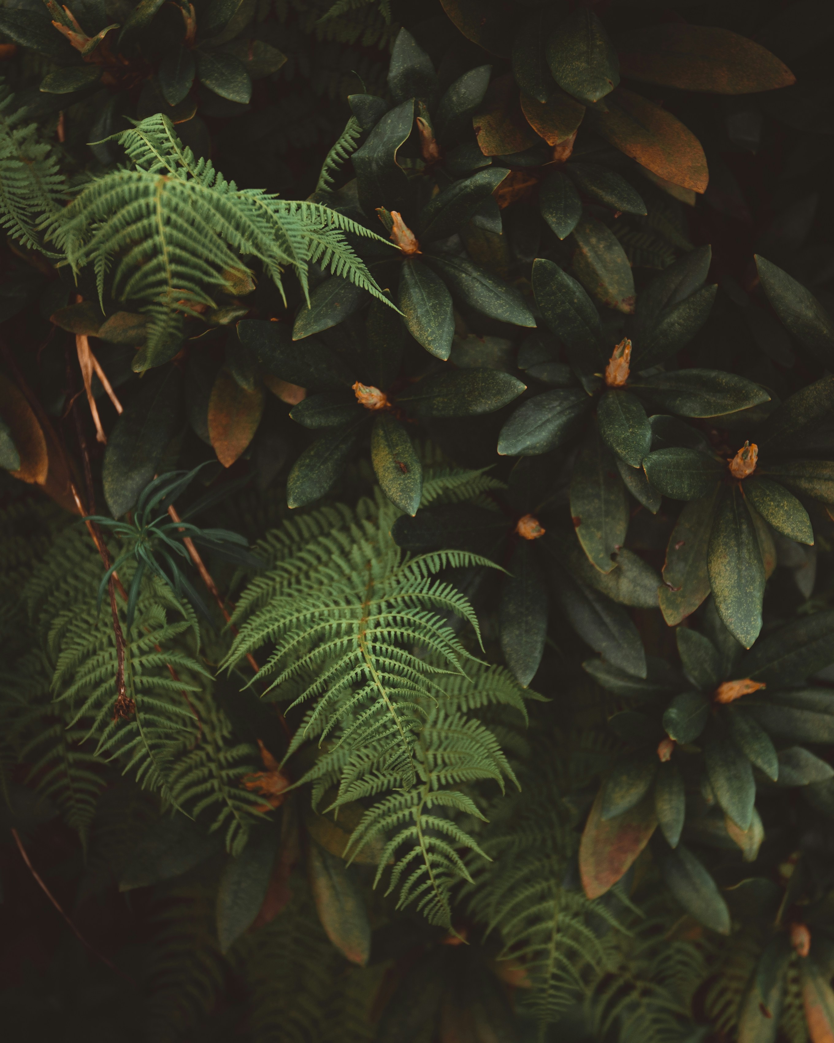 Modifié Pour Abu Max Series B3B4P3P4P5 Roue Goutte D'eau Six