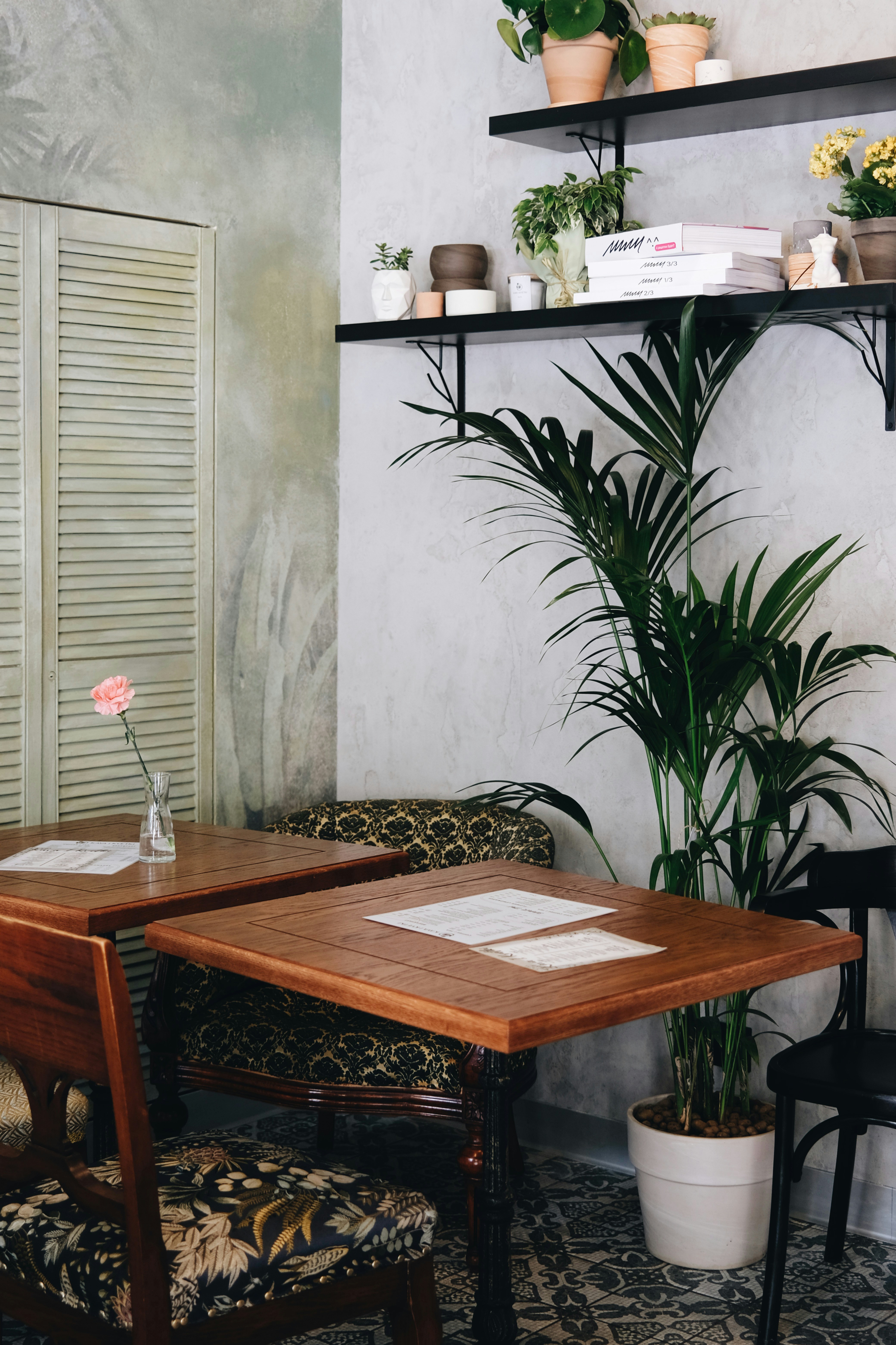 Photo by cherenkevich