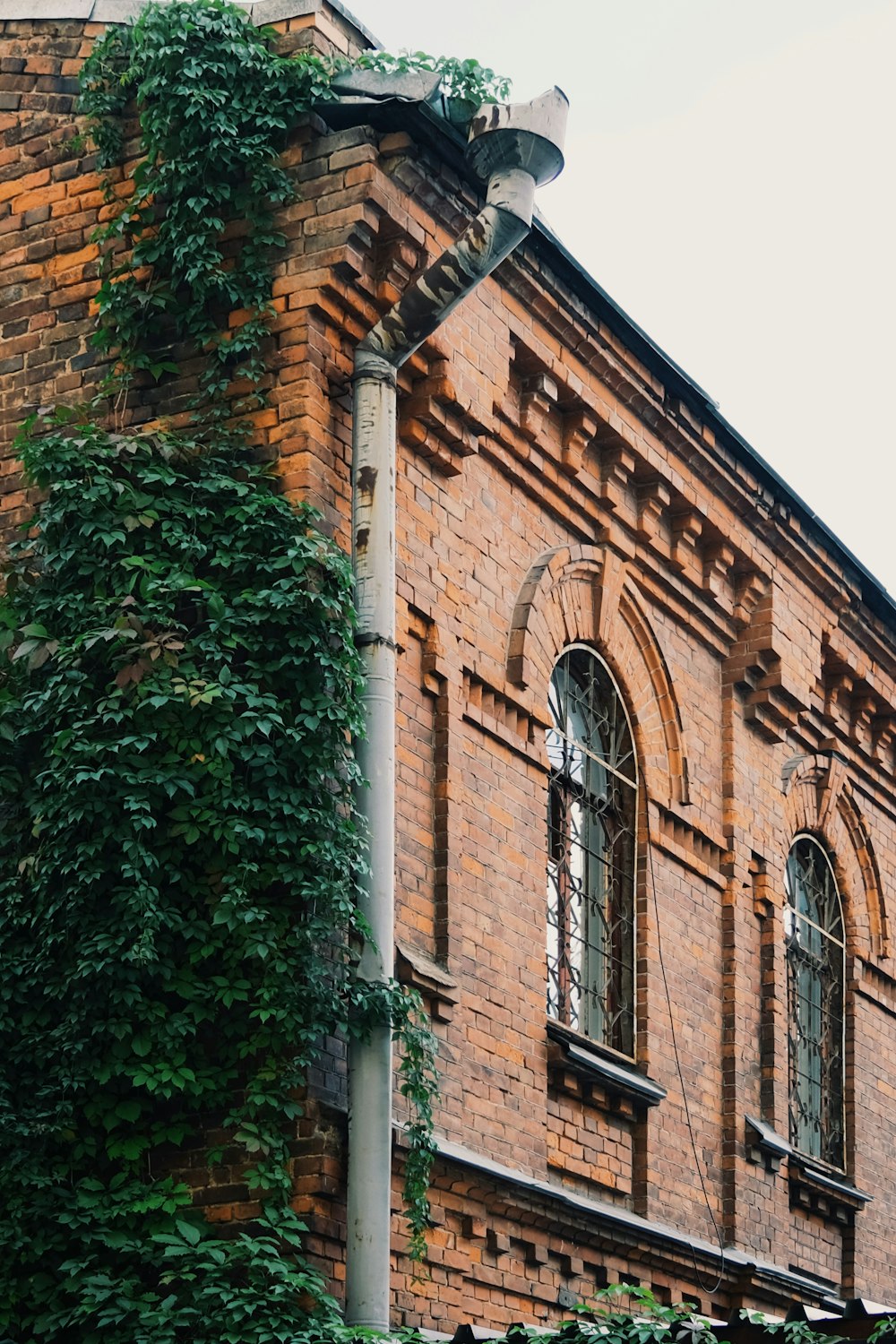 brown brick building with green plants