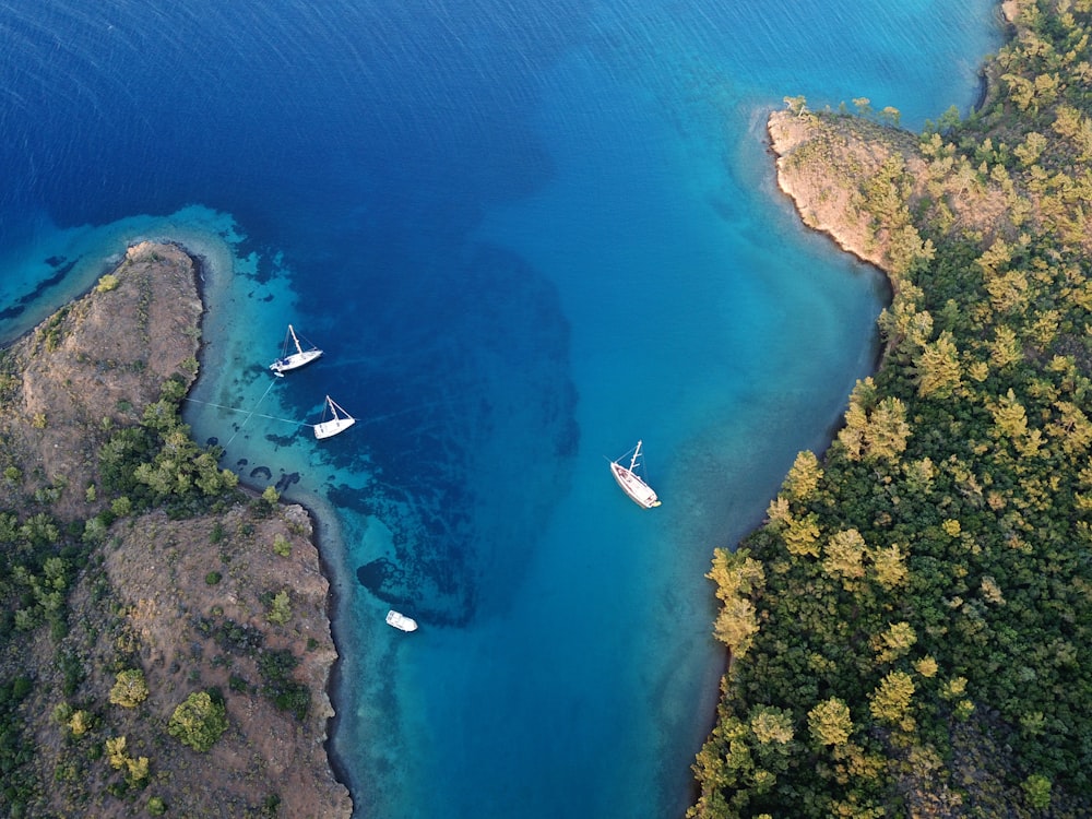 昼間の青い海に浮かぶ白いボートの空撮