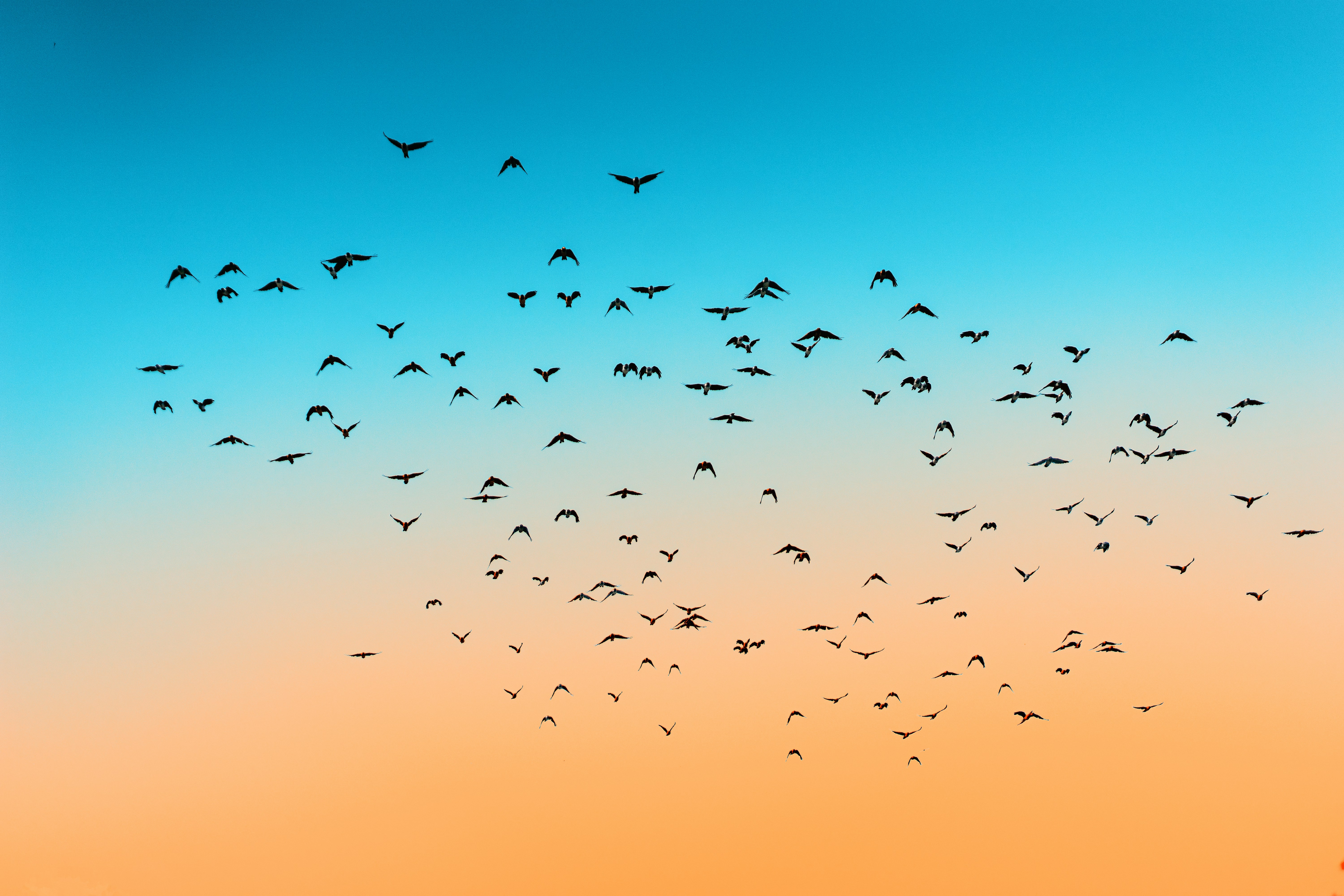 Fieldnote: Visualising Experiment Portfolios