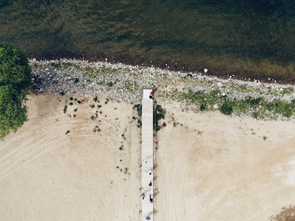 aerial view of people on beach during daytime