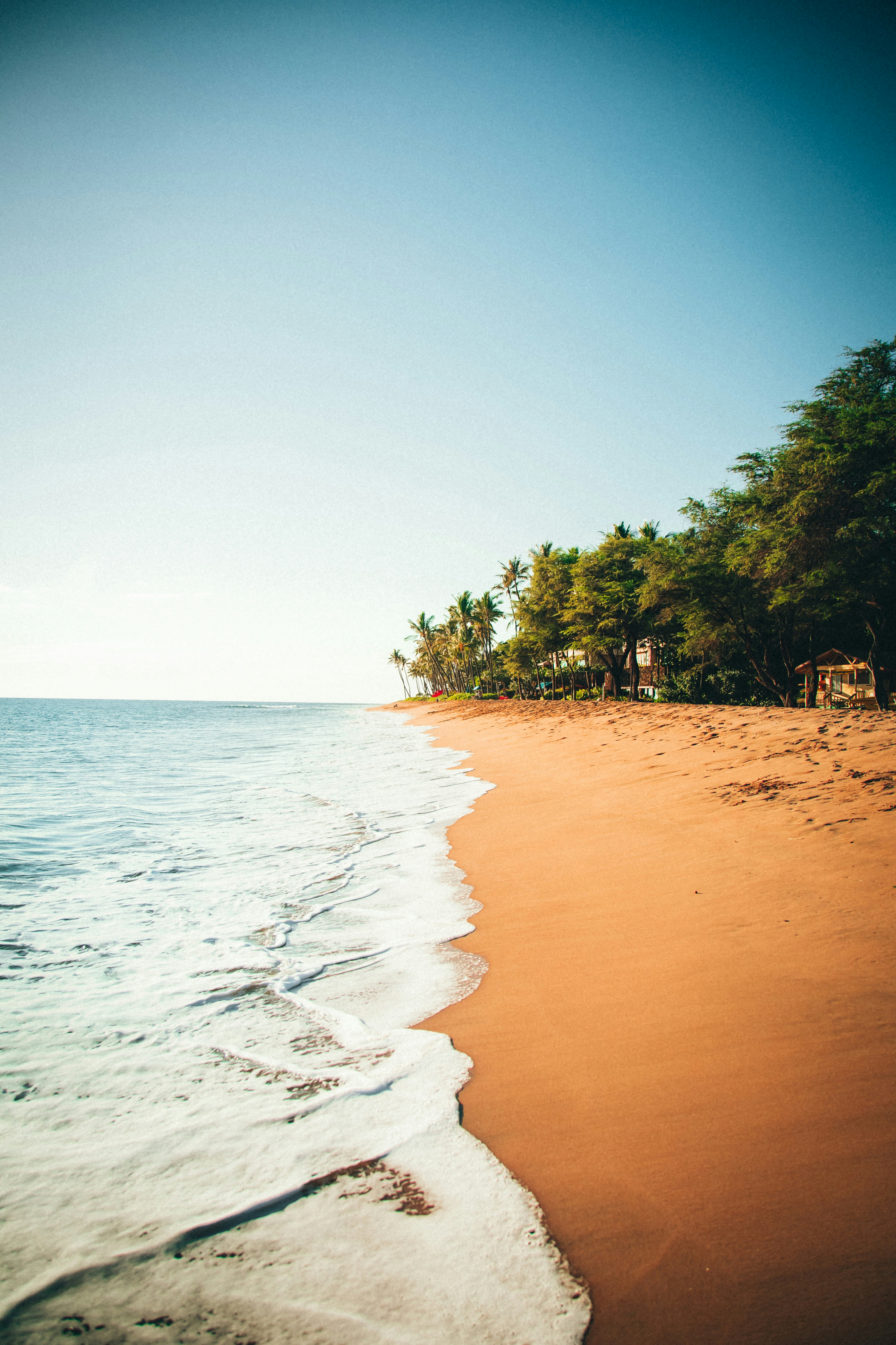 昼間のビーチの人々の写真 Unsplashで見つける海洋の無料写真