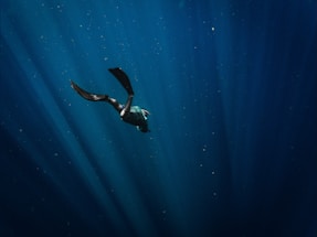 A solitary diver is gracefully swimming underwater, surrounded by soft, deep blue rays of light piercing through the water. The scene creates a sense of peace and wonder in the vast, open ocean.