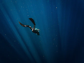 man in black wetsuit swimming in blue water