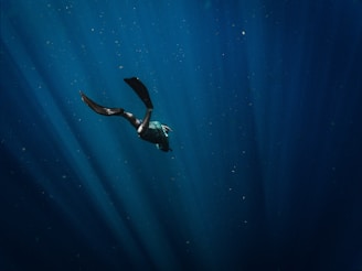 A serene freediver gliding effortlessly underwater surrounded by soft rays of sunlight filtering through the surface.