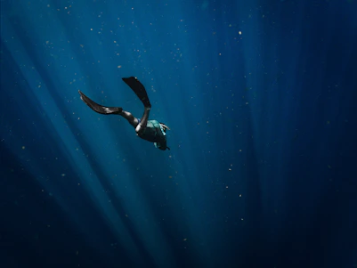 man in black wetsuit swimming in blue water
