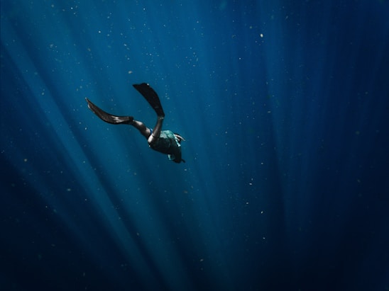A serene freediver gliding effortlessly underwater surrounded by soft rays of sunlight filtering through the surface.