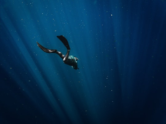 Apneísta descendiendo en el azul profundo