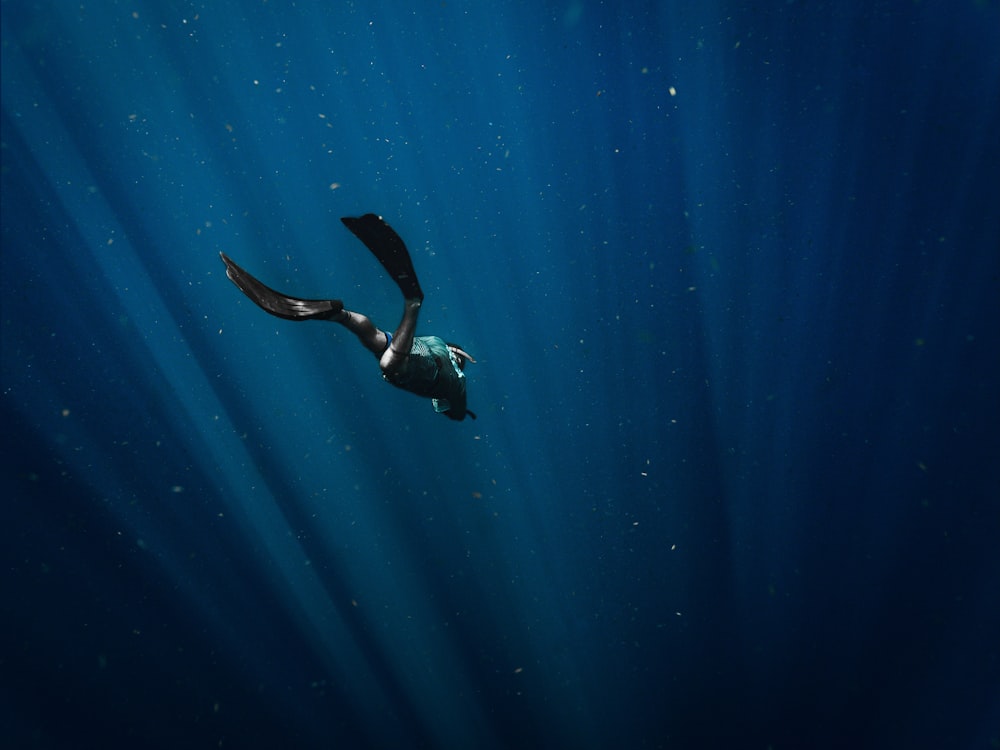 man in black wetsuit swimming in blue water