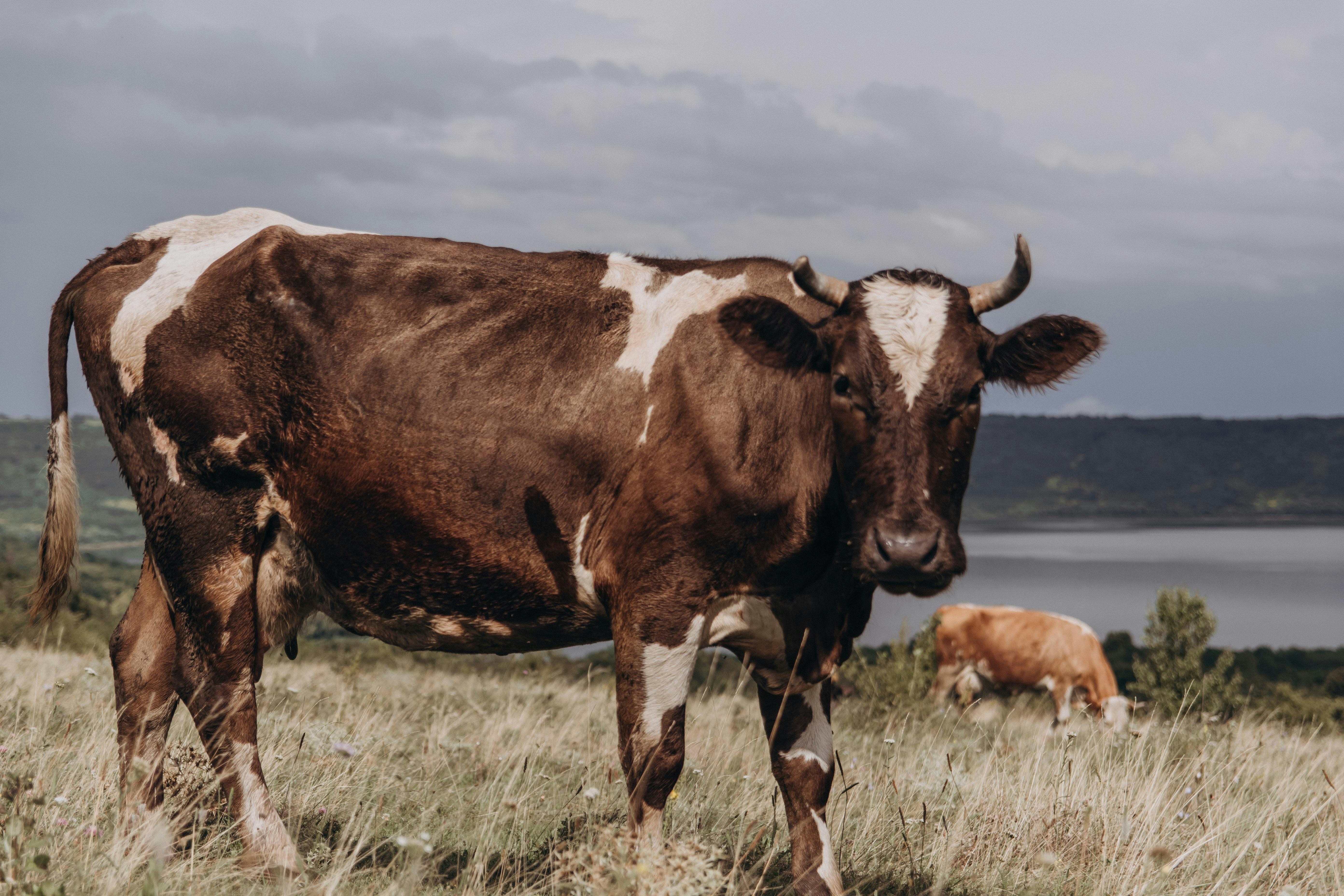 Photo by raspopovamarisha