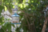 A blue bird feeder filled with seeds hangs from a yellow string amidst a blurred green foliage backdrop. Sunlight filters through the leaves, creating dappled spots of light and shadow.