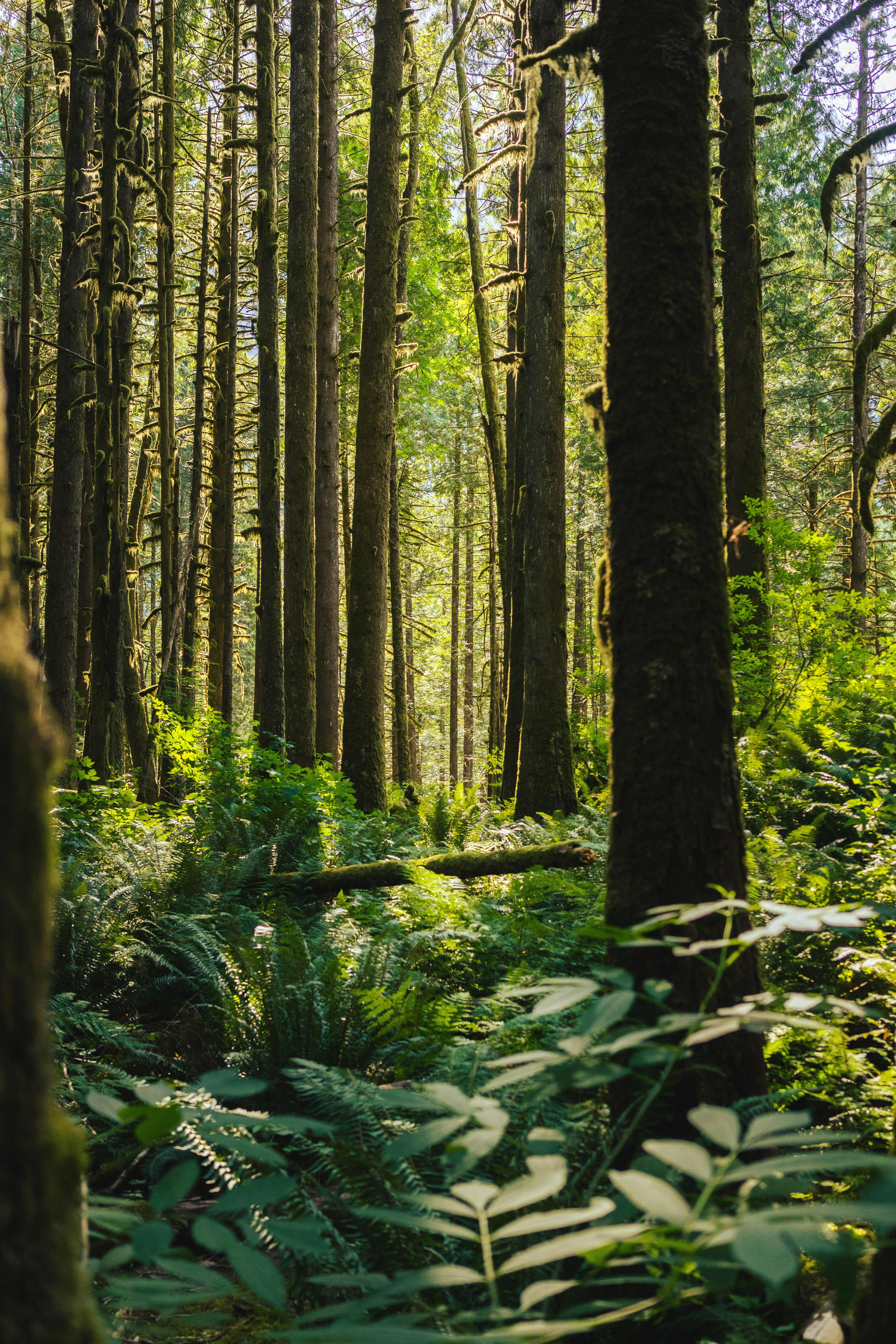 Photo by natwestrose