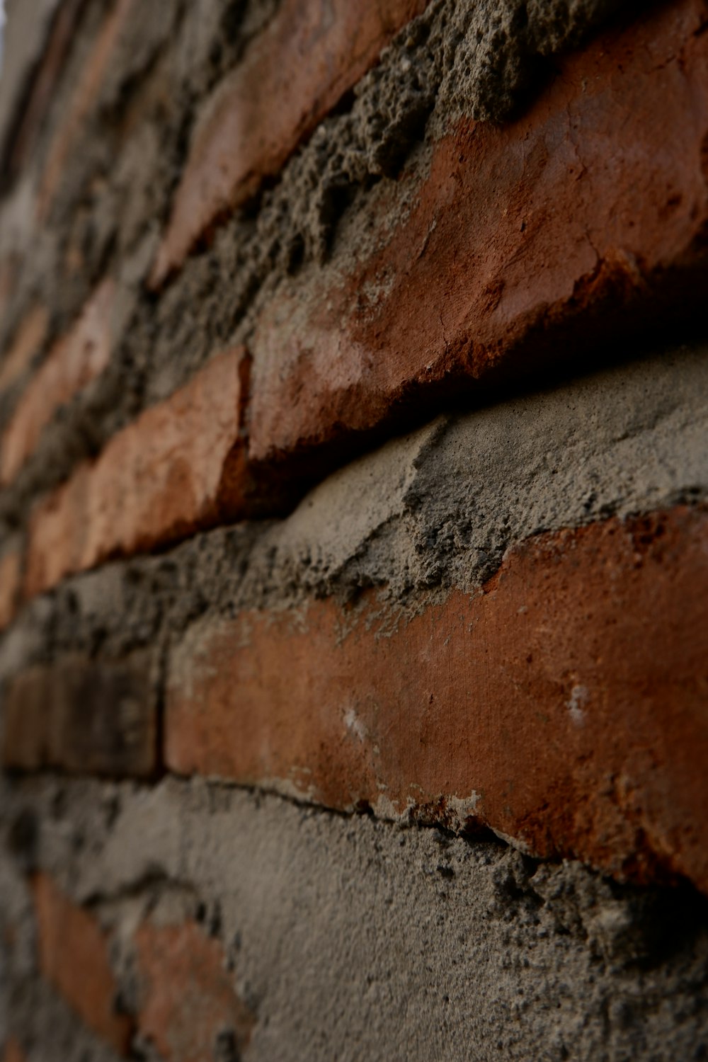 brown and white brick wall