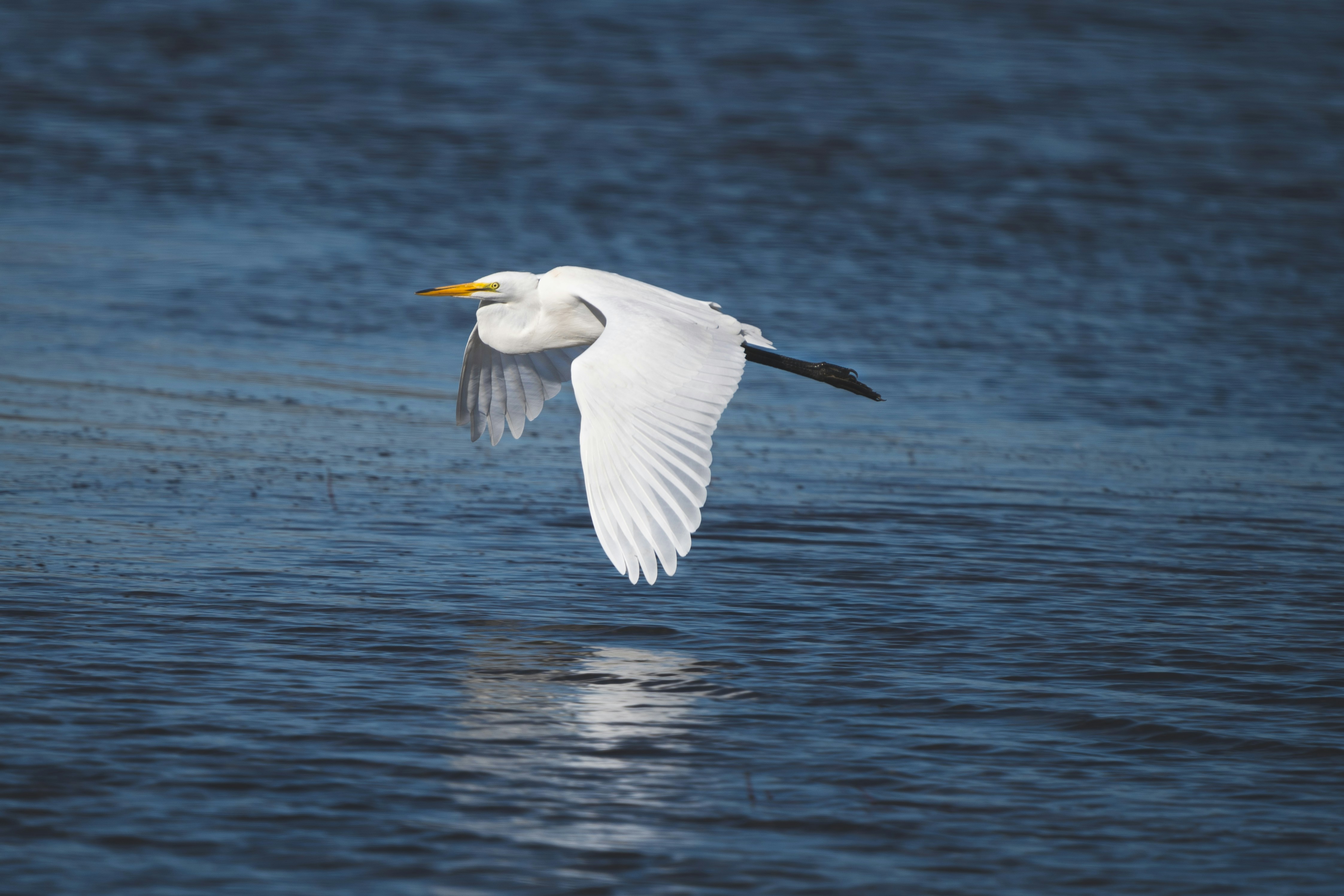 Why Protein Structure Prediction Changed All of Biology