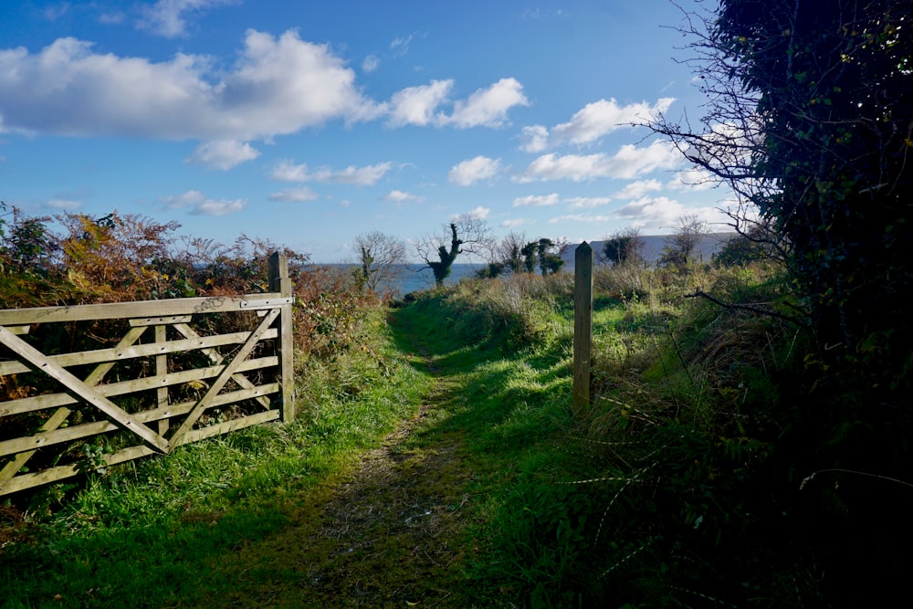 brown wooden fence on green grass field under blue sky and white clouds during daytime