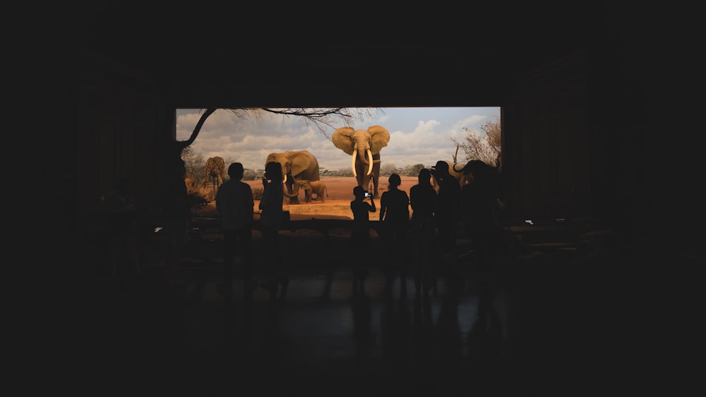 silhouette of people standing on field during sunset