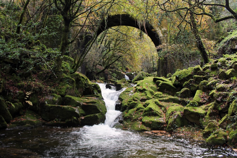 brown concrete bridge over river