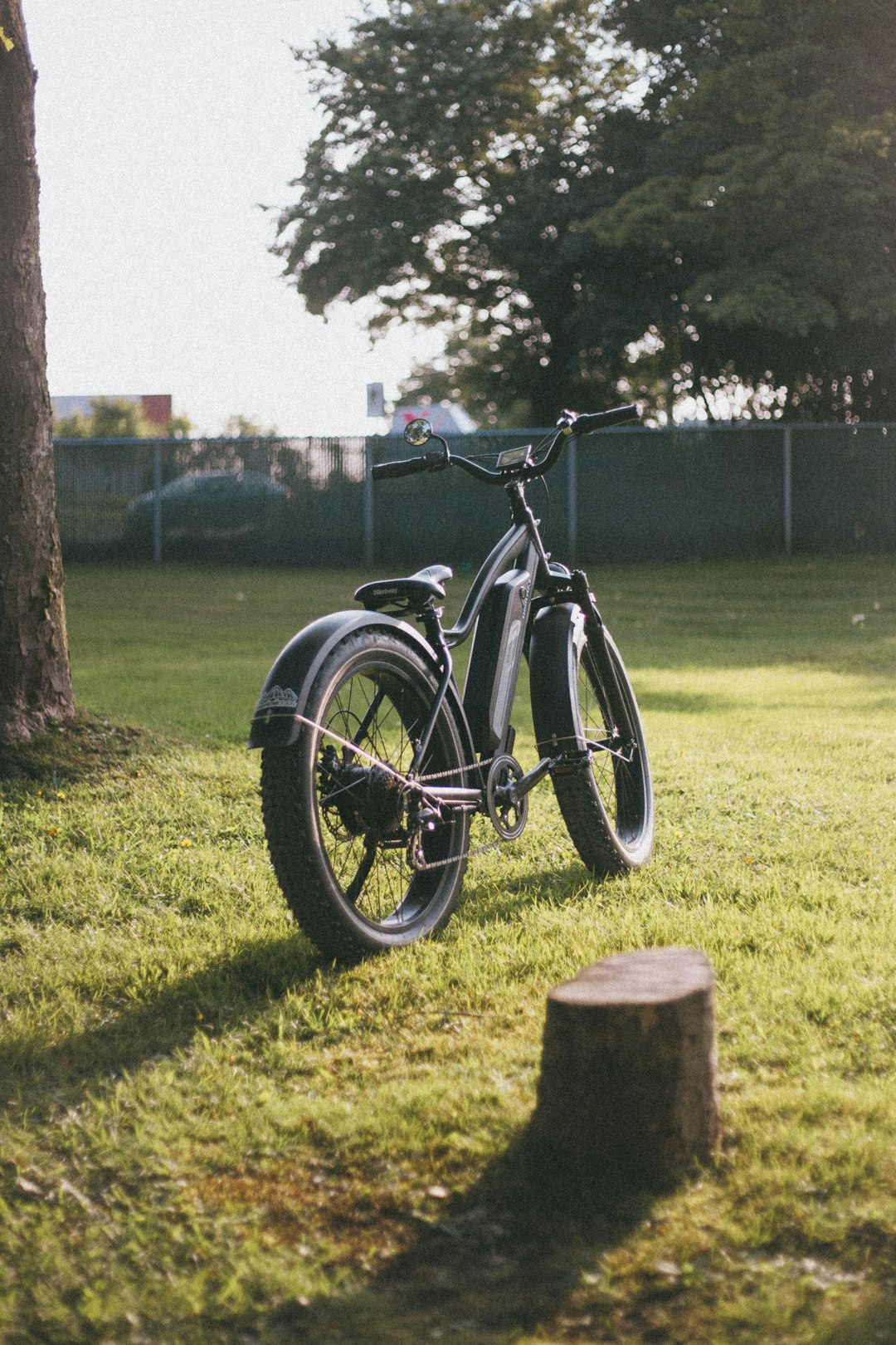 black and gray commuter bike parked on green grass field during daytime