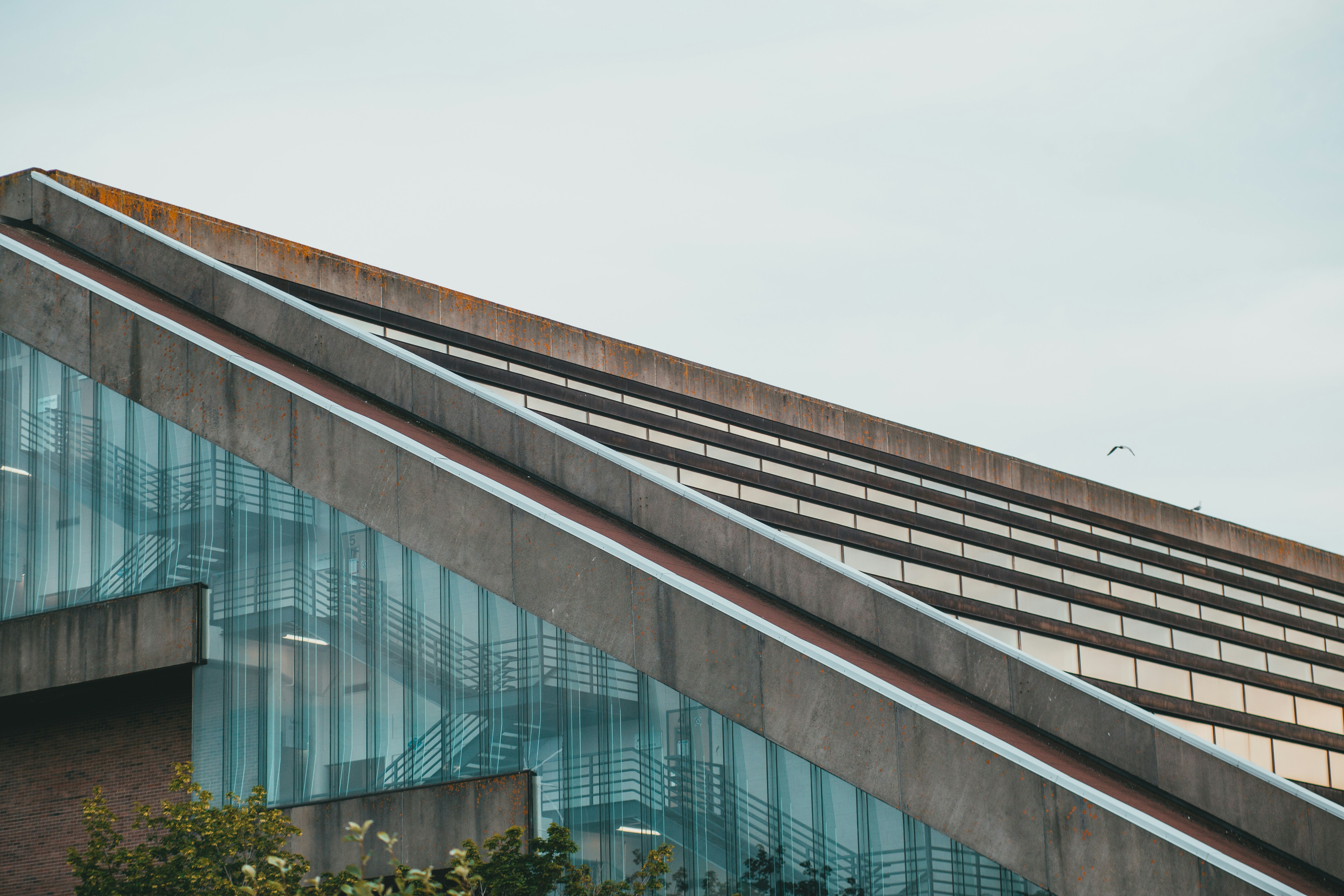 Photo by introspectivedsgn