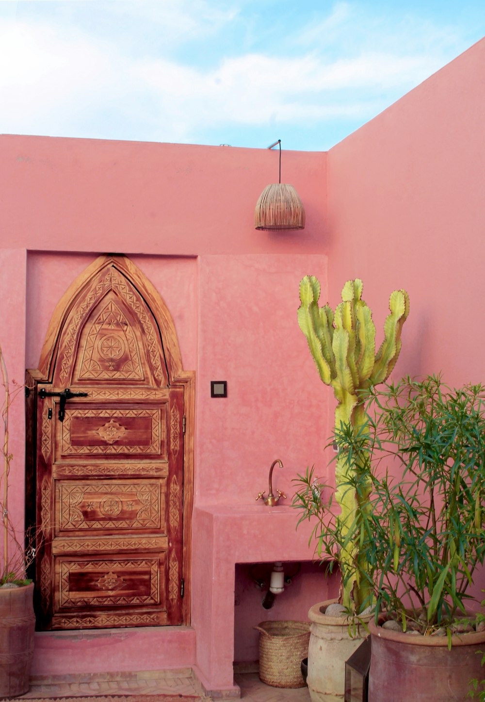 Puerta de madera marrón junto a planta verde