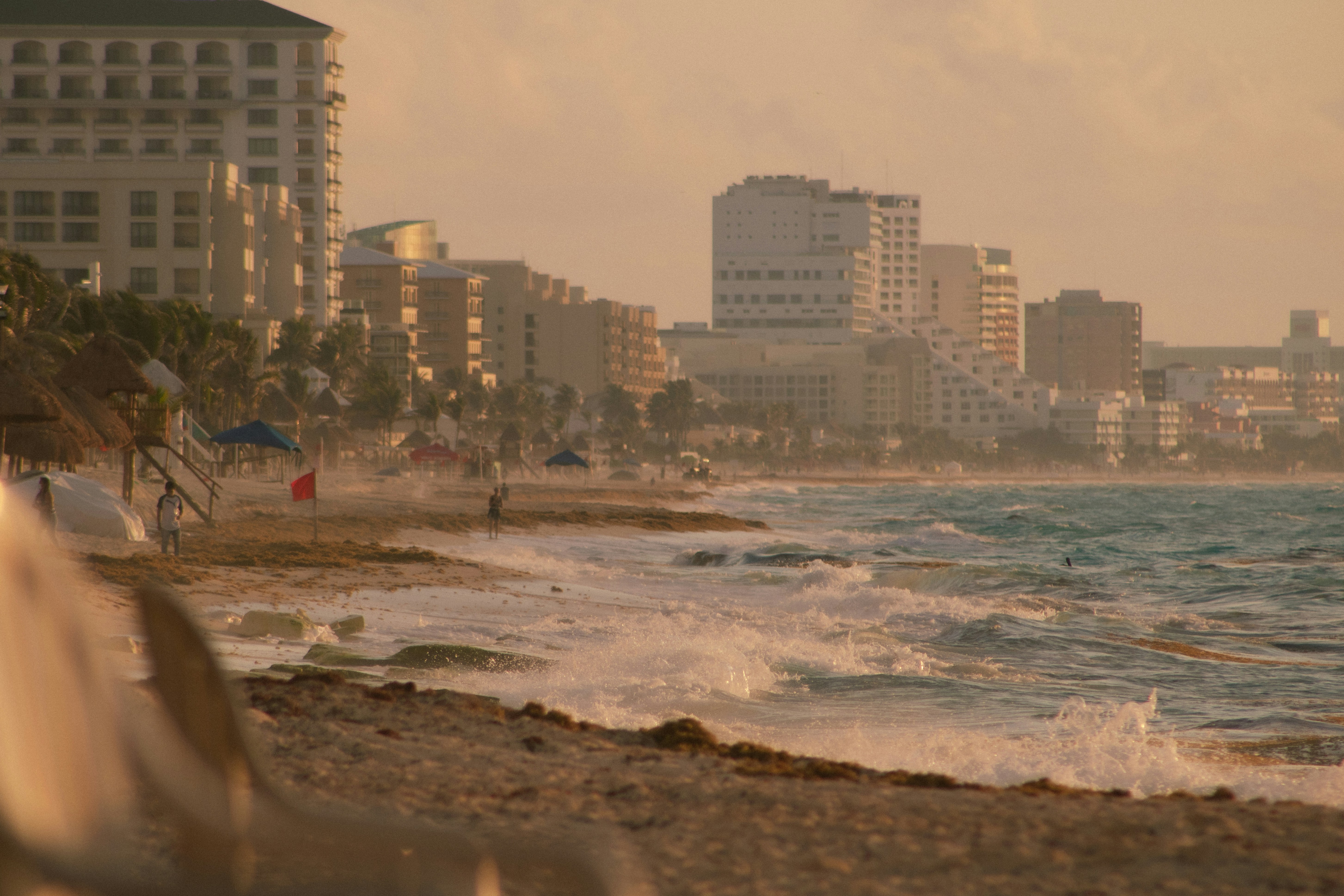people on beach during daytime