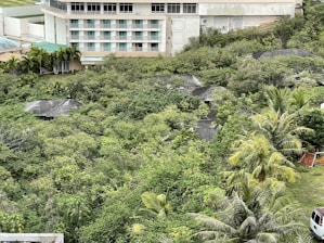 A multi-story building is partially visible in the background, with a section covered by a teal roof. In the foreground, dense greenery, including various trees and shrubs, surrounds several small, weathered structures with dark roofs. A cluster of palm trees adds to the tropical atmosphere, and part of a white vehicle is seen in the lower right corner.