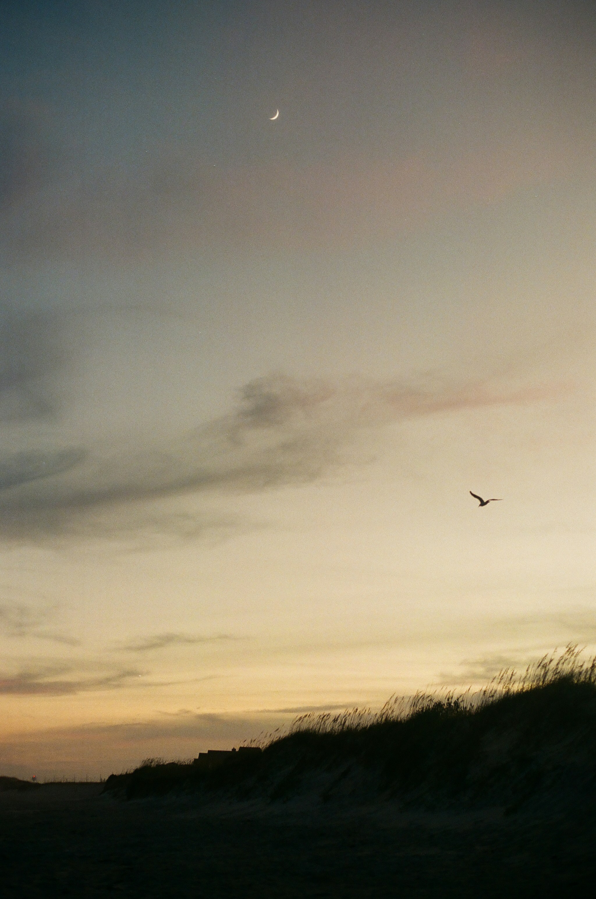 Photo by raymondkotewicz