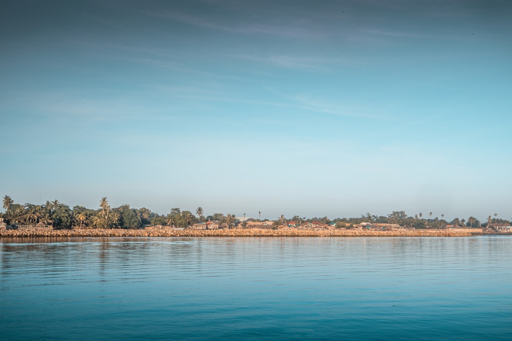 body of water near trees during daytime