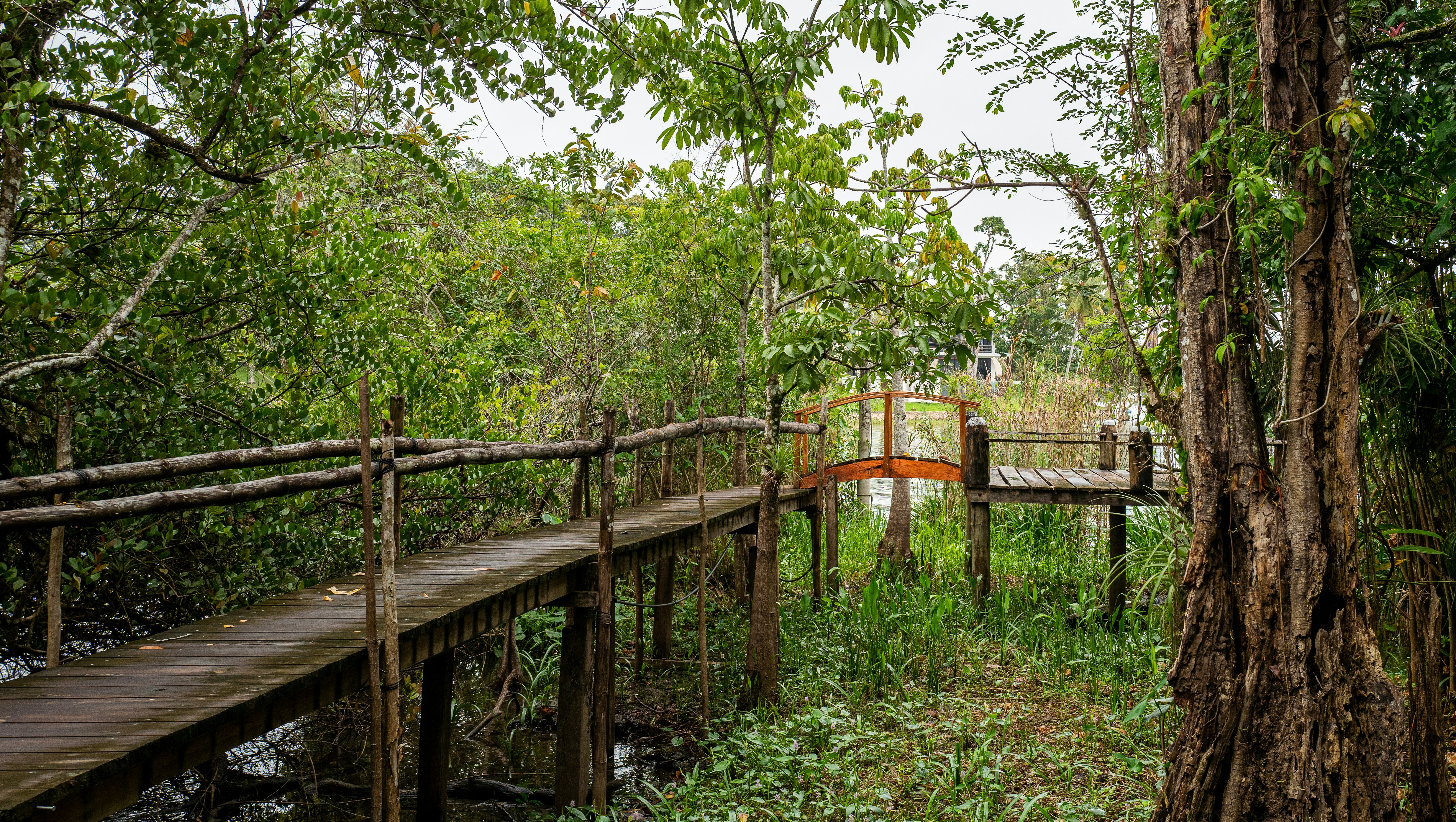 brown wooden fence near green trees during daytime