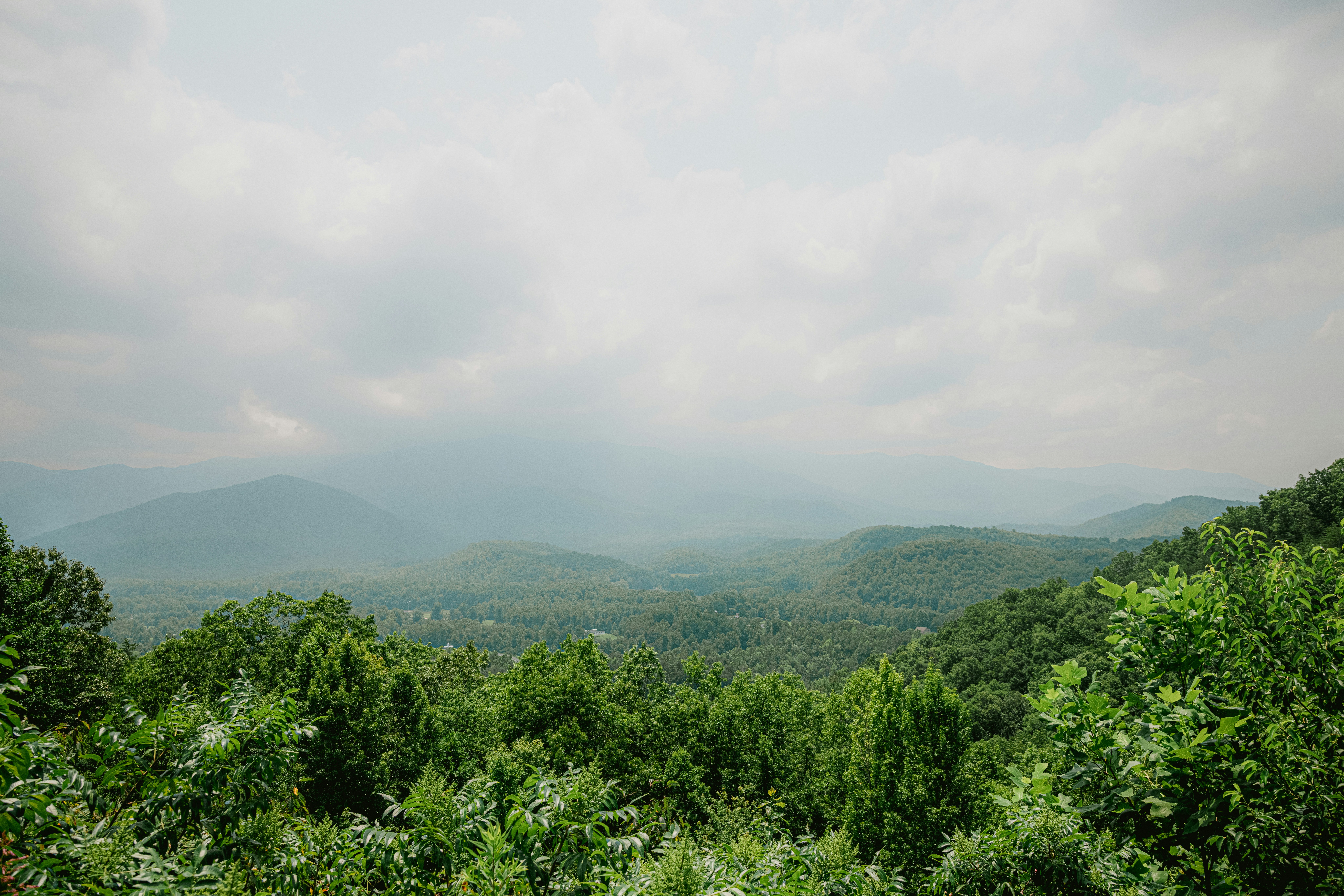 Photo by matthewjungling