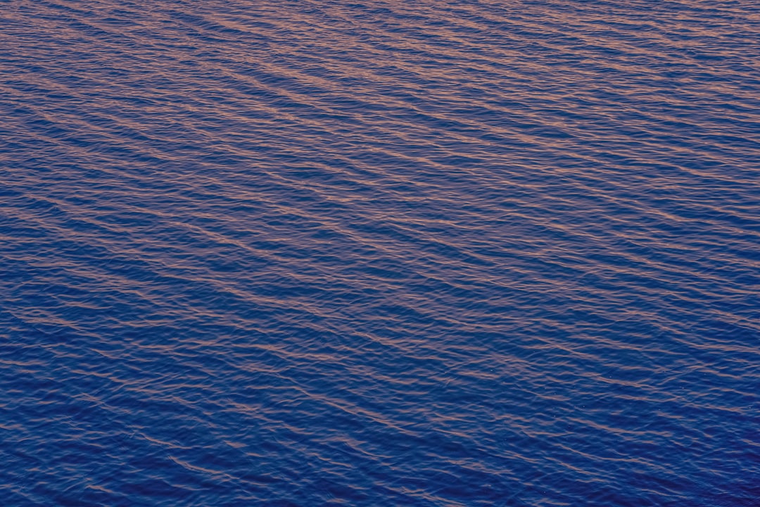 blue body of water during daytime