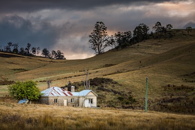 white and brown house on green grass field under gray clouds