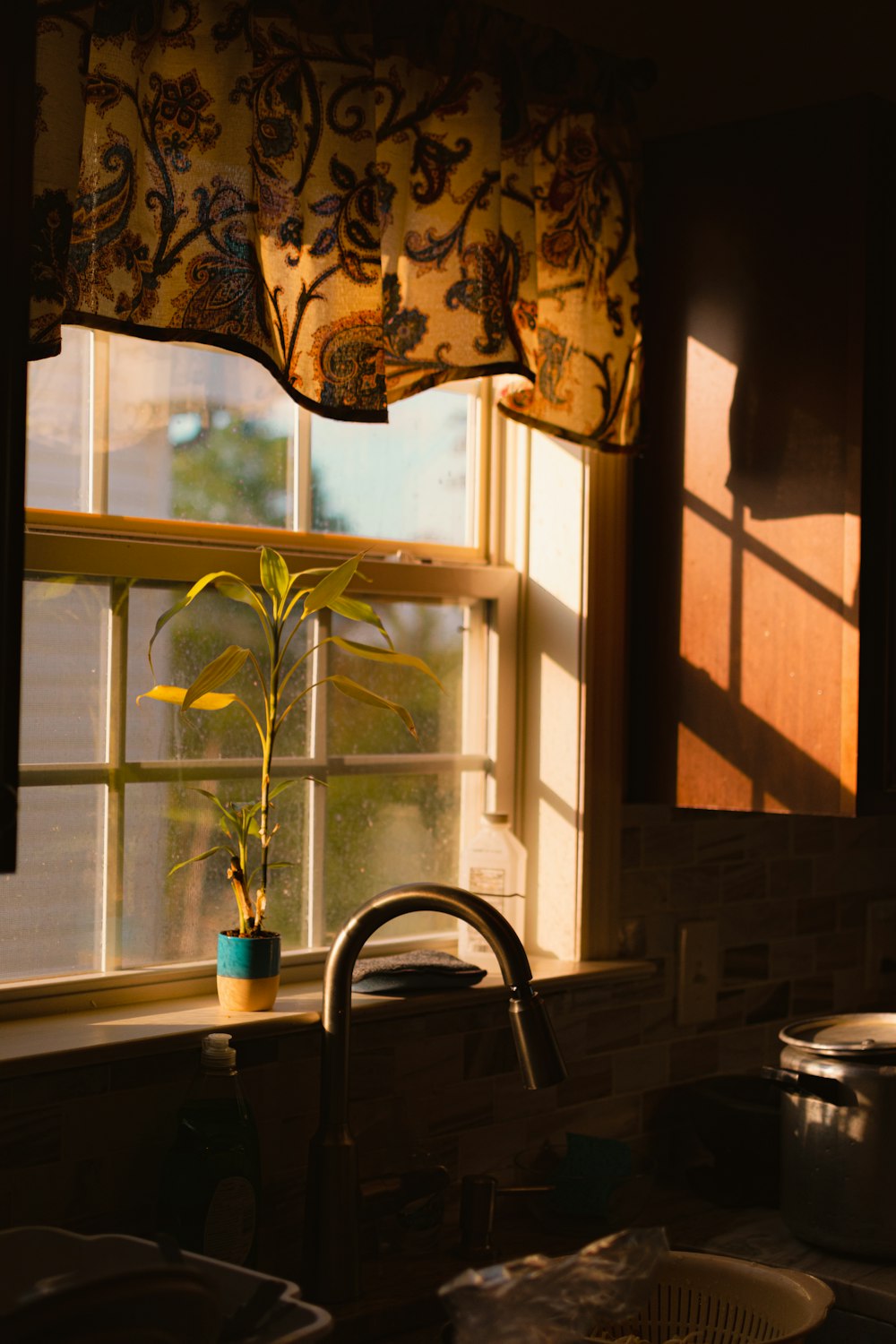 stainless steel faucet near green potted plant