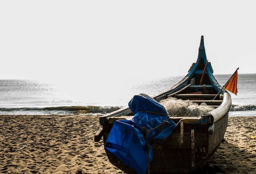 blue and white boat on beach during daytime