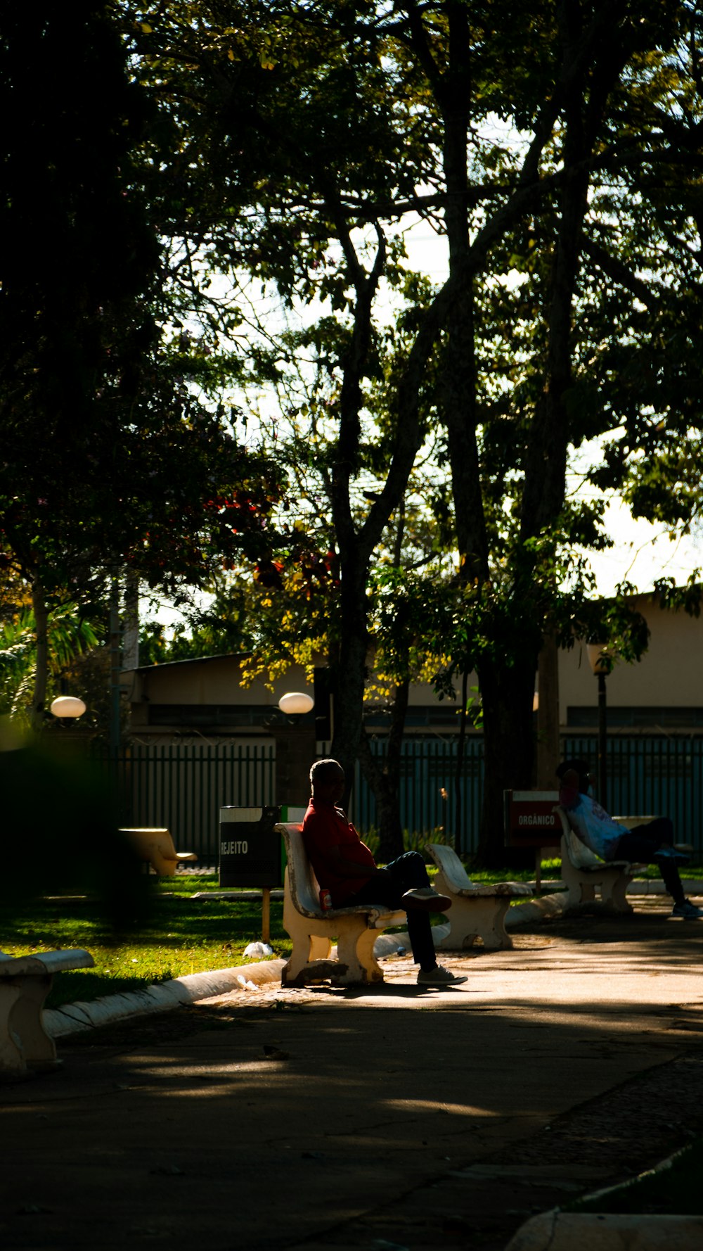 man in red shirt sitting on bench near tree during daytime