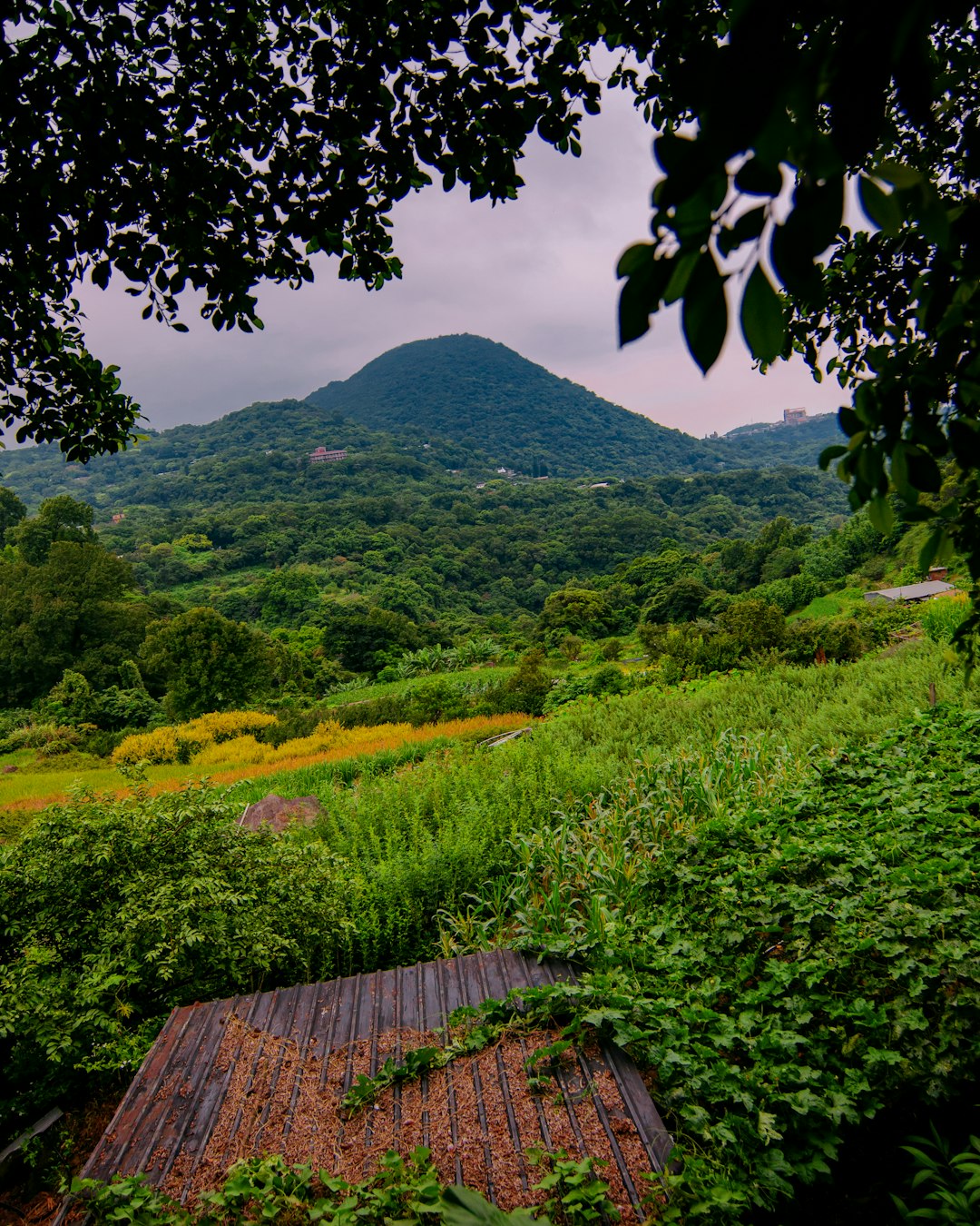 brown wooden house on green grass field near mountain during daytime