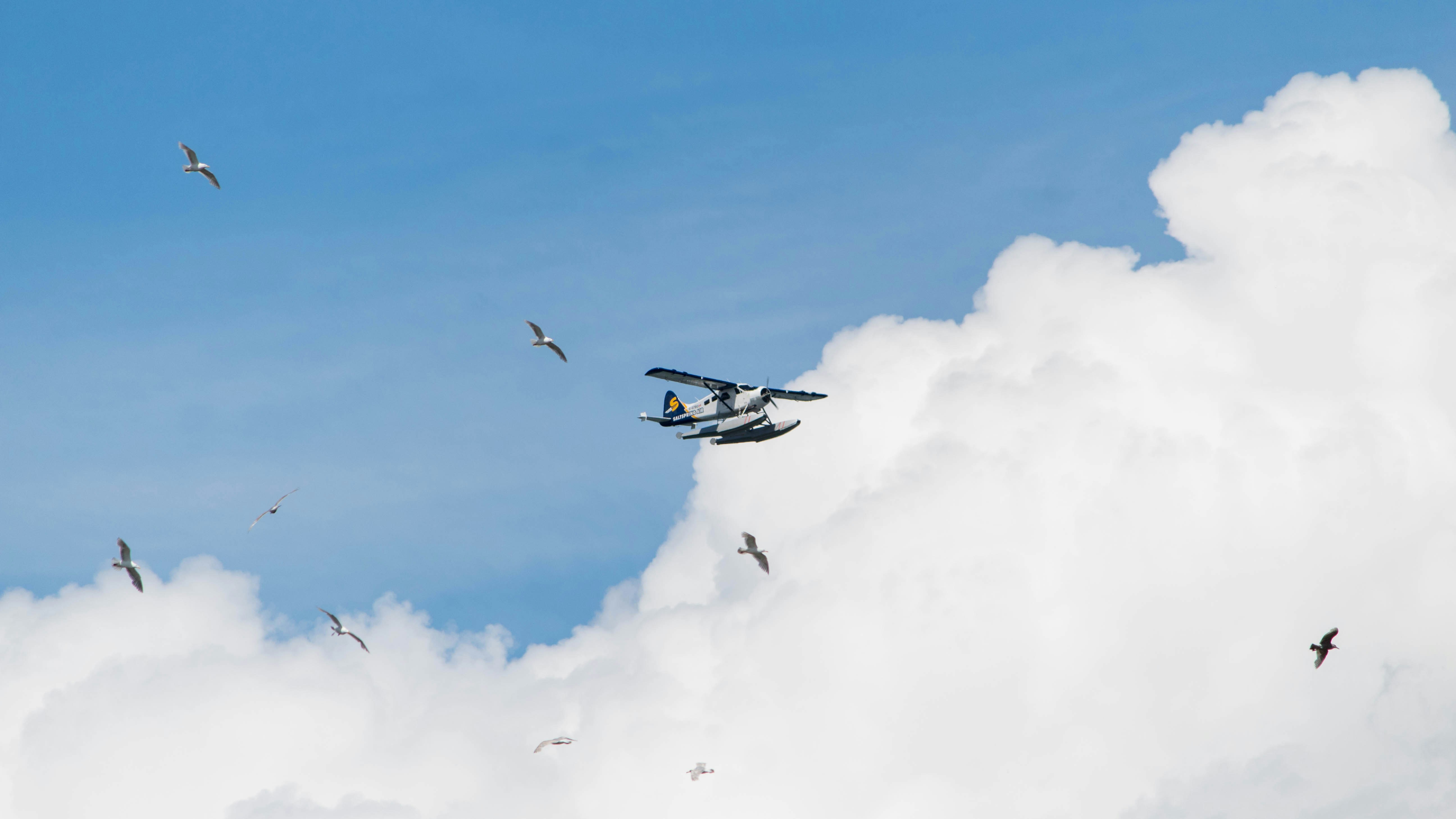 Internal discussion about AI