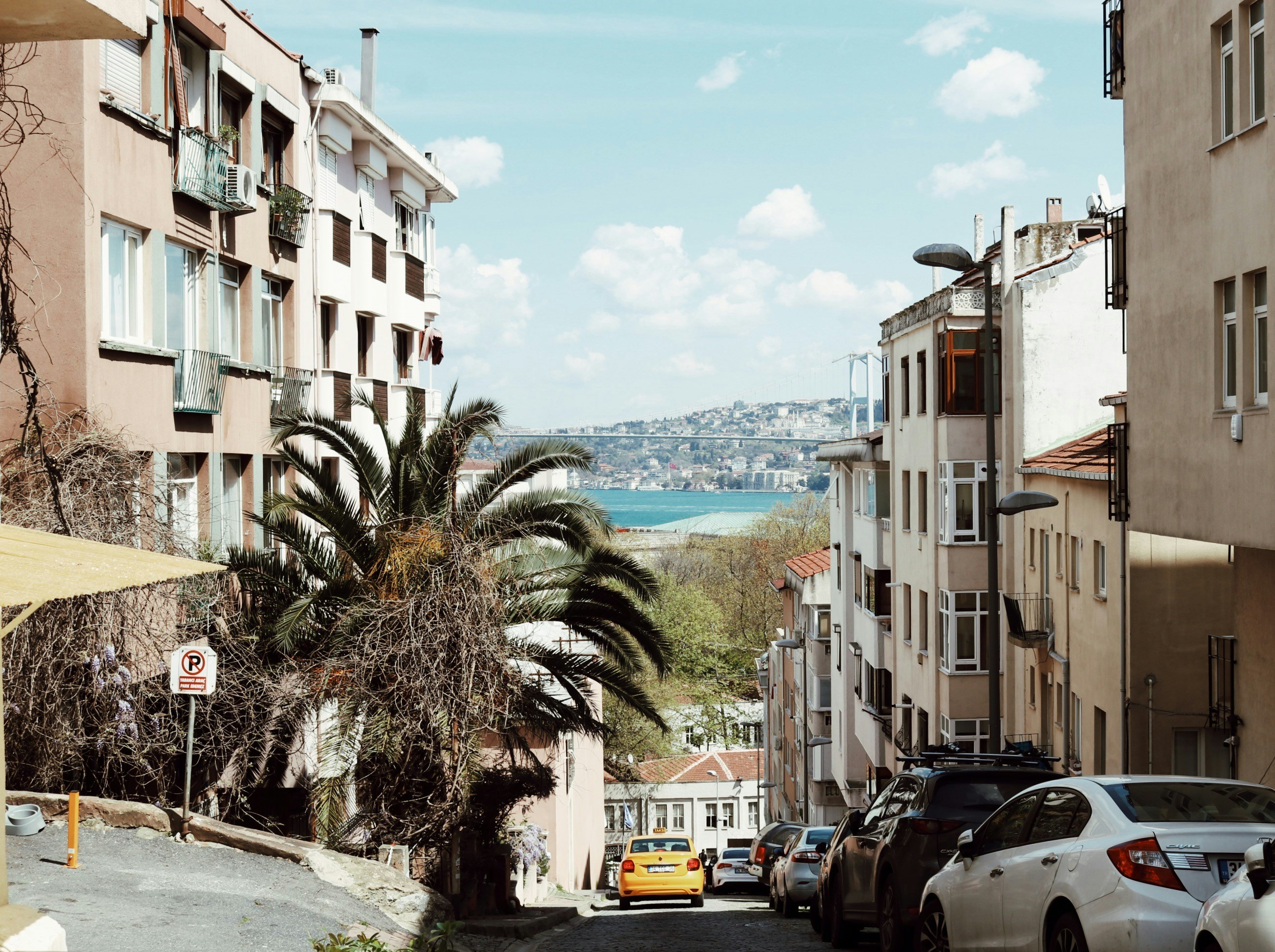 cars parked beside the road near buildings during daytime, 
