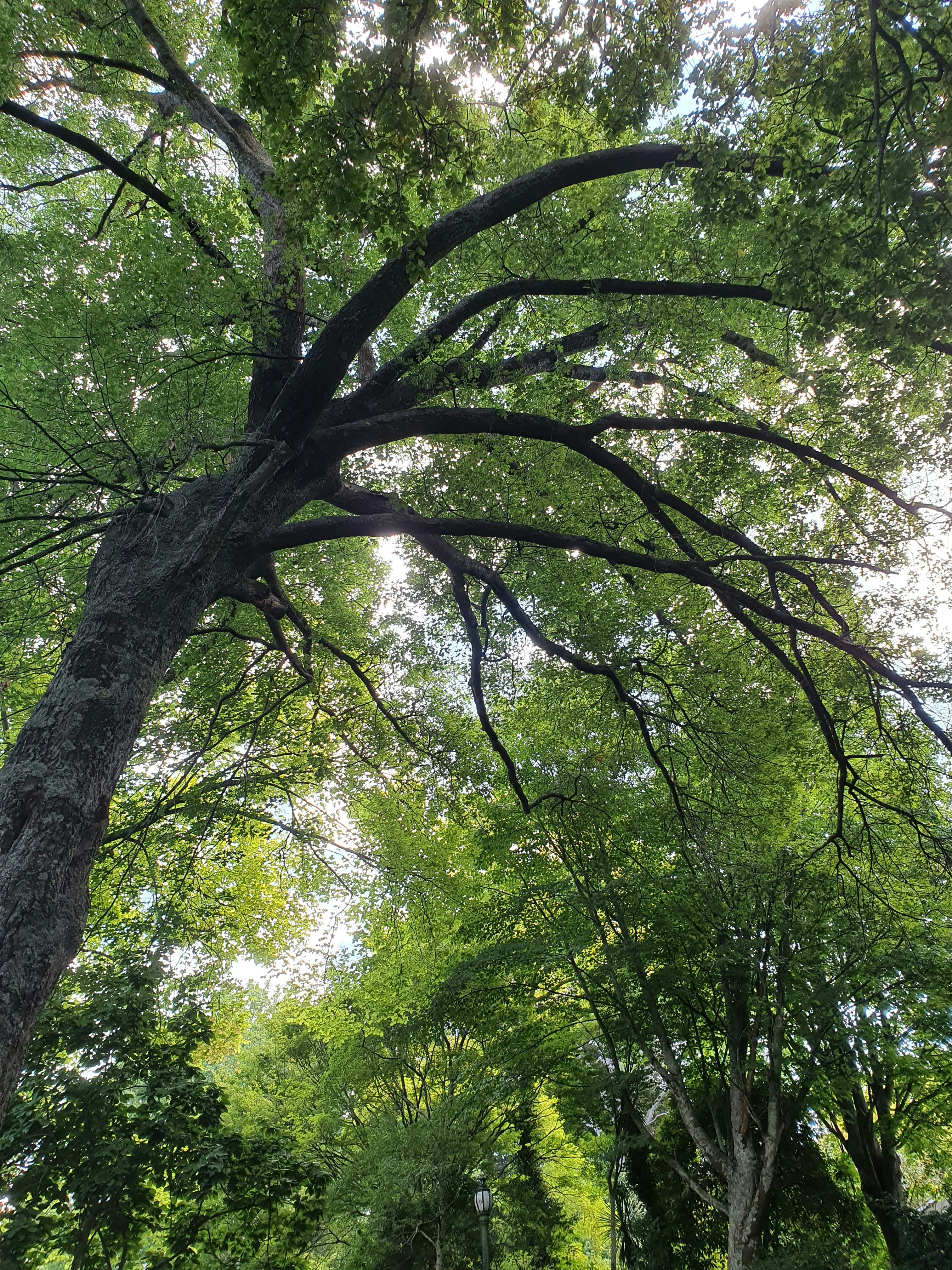 Photo by olivia_hibbins