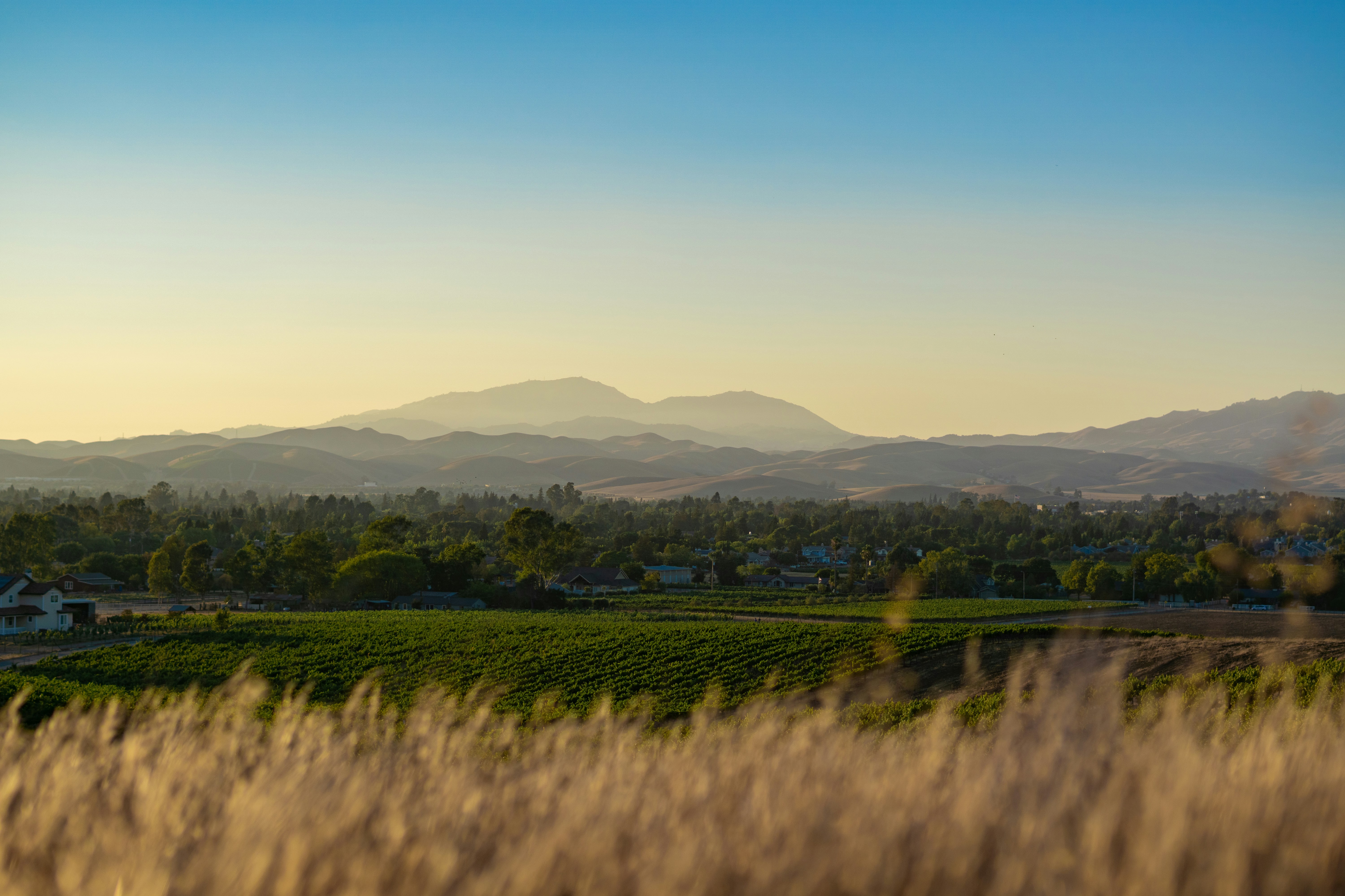 Photo by spencer_demera